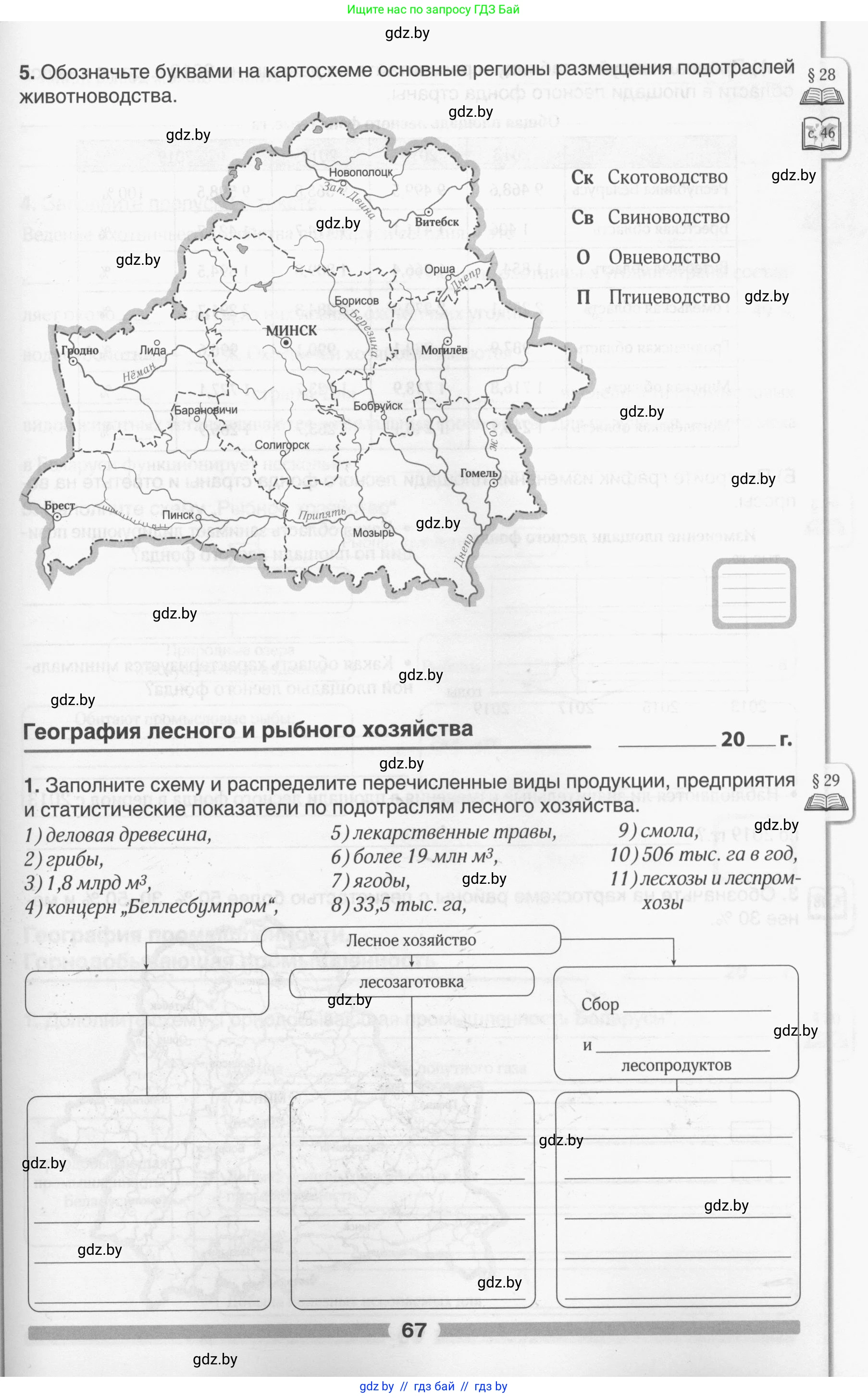 География, 9 класс рабочая тетрадь, авторы: Брилевский Михаил Николаевич, Климович Алеся Владимировна, издательство Белкартография, Минск, 2021, бирюзового цвета, страница 67
