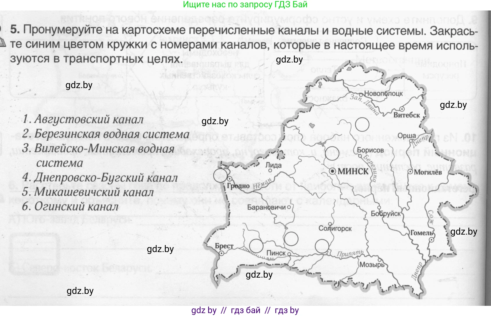 География, 9 класс рабочая тетрадь, авторы: Брилевский Михаил Николаевич, Климович Алеся Владимировна, издательство Белкартография, Минск, 2021, бирюзового цвета, страница 24, номер 5, Условие