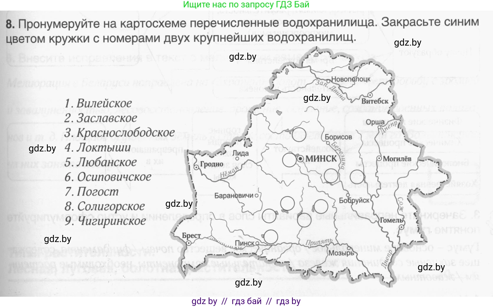 География, 9 класс рабочая тетрадь, авторы: Брилевский Михаил Николаевич, Климович Алеся Владимировна, издательство Белкартография, Минск, 2021, бирюзового цвета, страница 25, номер 8, Условие