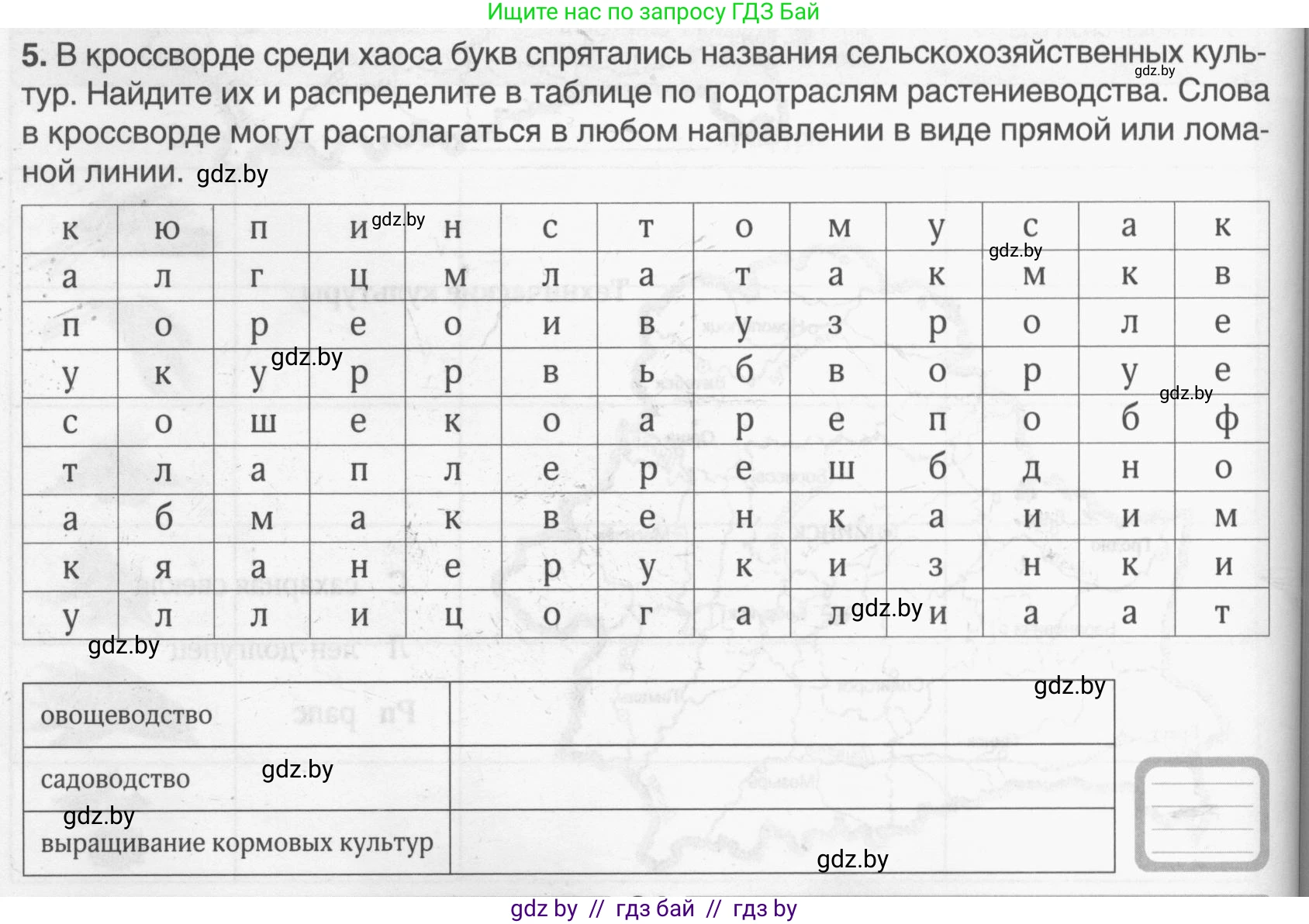 География, 9 класс рабочая тетрадь, авторы: Брилевский Михаил Николаевич, Климович Алеся Владимировна, издательство Белкартография, Минск, 2021, бирюзового цвета, страница 64, номер 5, Условие