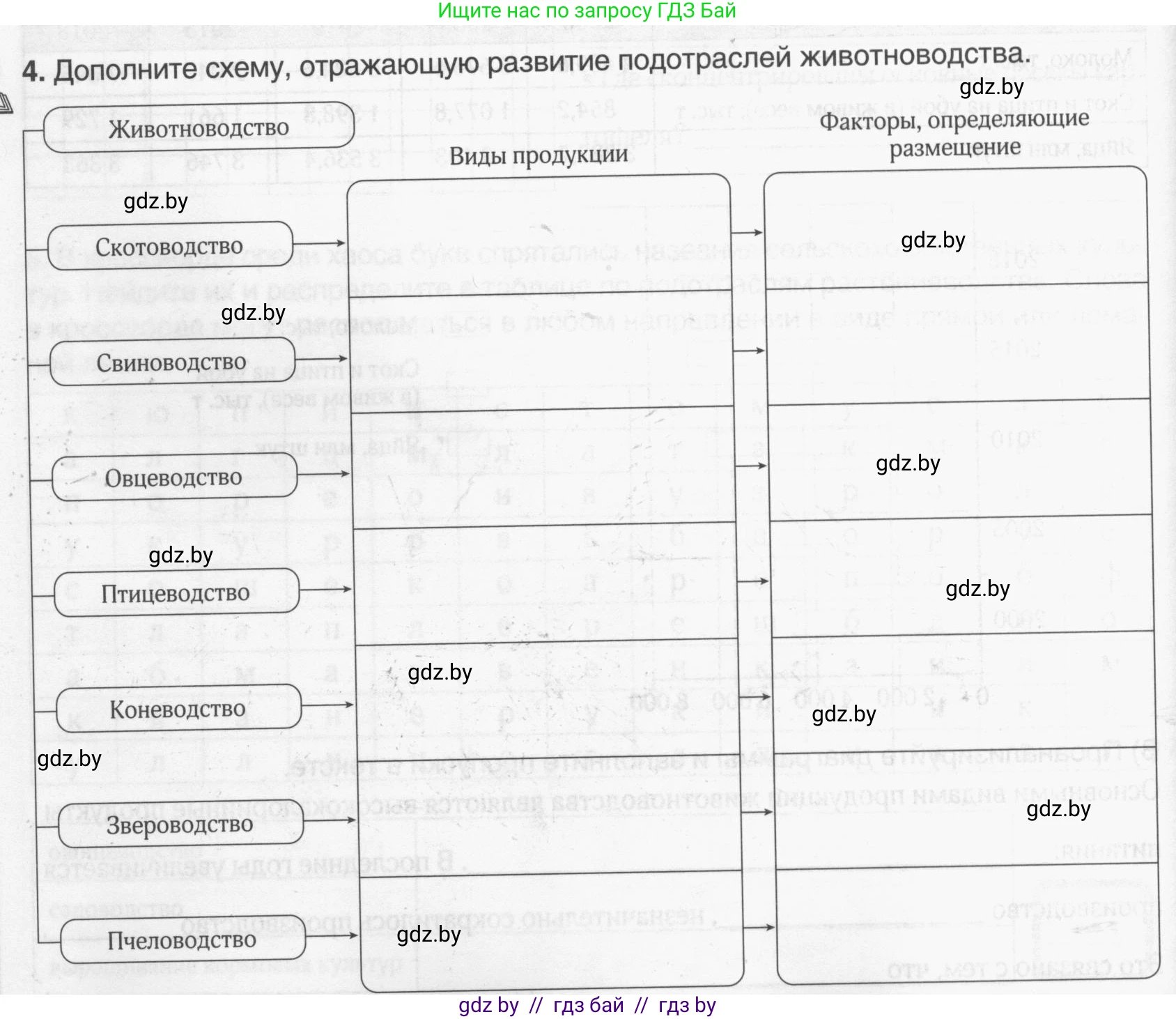 География, 9 класс рабочая тетрадь, авторы: Брилевский Михаил Николаевич, Климович Алеся Владимировна, издательство Белкартография, Минск, 2021, бирюзового цвета, страница 66, номер 4, Условие