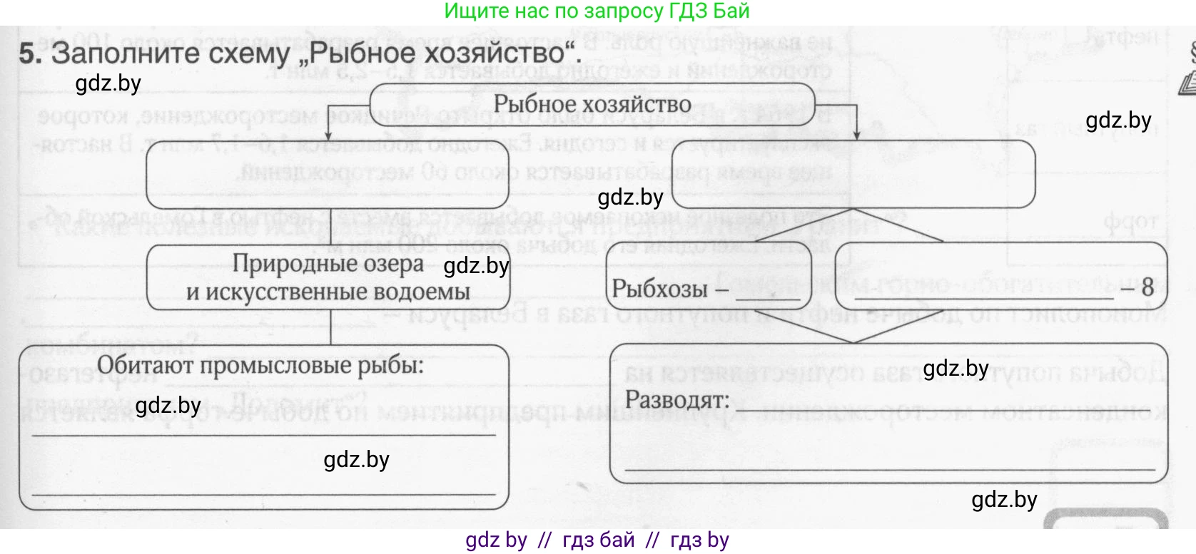 География, 9 класс рабочая тетрадь, авторы: Брилевский Михаил Николаевич, Климович Алеся Владимировна, издательство Белкартография, Минск, 2021, бирюзового цвета, страница 69, номер 5, Условие