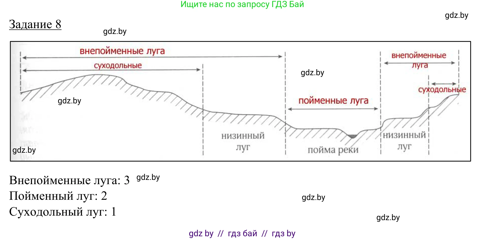 География, 9 класс рабочая тетрадь, авторы: Брилевский Михаил Николаевич, Климович Алеся Владимировна, издательство Белкартография, Минск, 2021, бирюзового цвета, страница 29, номер 8, Решение