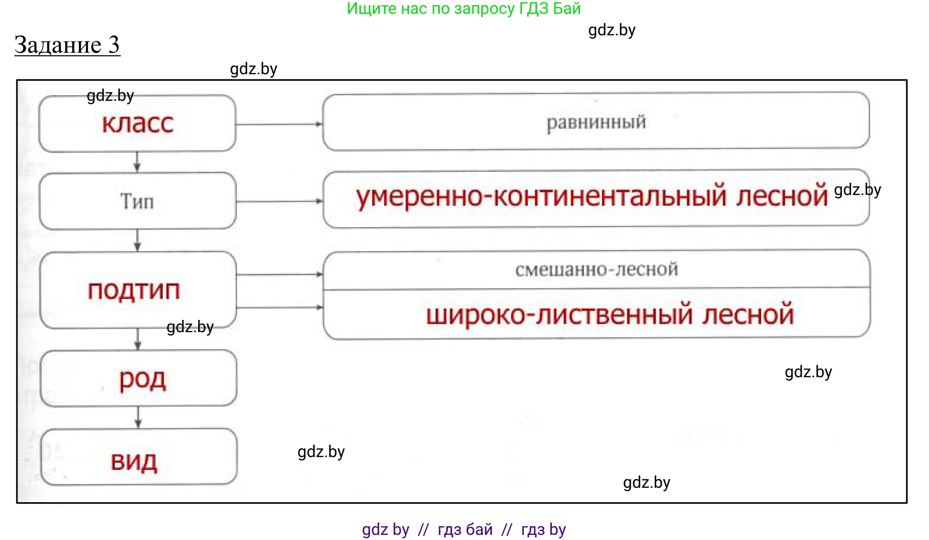 География, 9 класс рабочая тетрадь, авторы: Брилевский Михаил Николаевич, Климович Алеся Владимировна, издательство Белкартография, Минск, 2021, бирюзового цвета, страница 31, номер 3, Решение