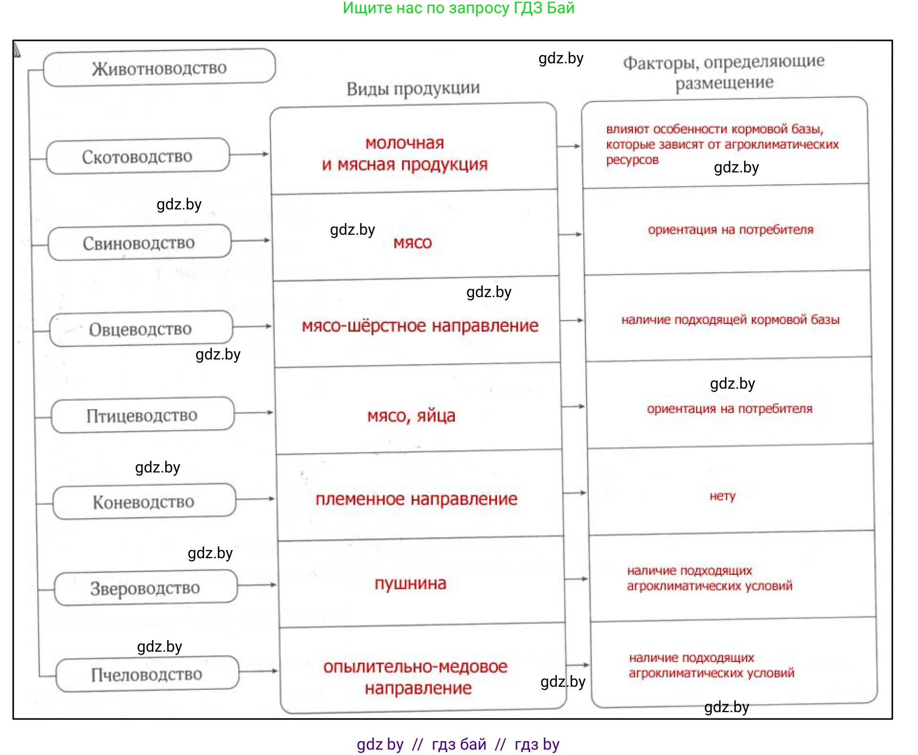 География, 9 класс рабочая тетрадь, авторы: Брилевский Михаил Николаевич, Климович Алеся Владимировна, издательство Белкартография, Минск, 2021, бирюзового цвета, страница 66, номер 4, Решение (продолжение 2)
