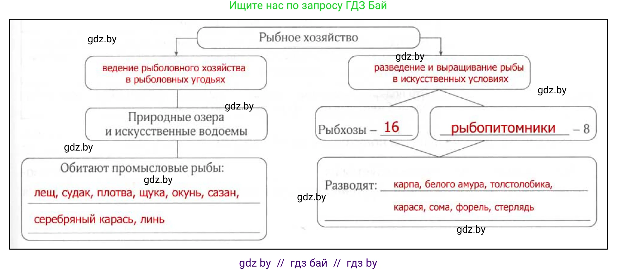 География, 9 класс рабочая тетрадь, авторы: Брилевский Михаил Николаевич, Климович Алеся Владимировна, издательство Белкартография, Минск, 2021, бирюзового цвета, страница 69, номер 5, Решение (продолжение 2)