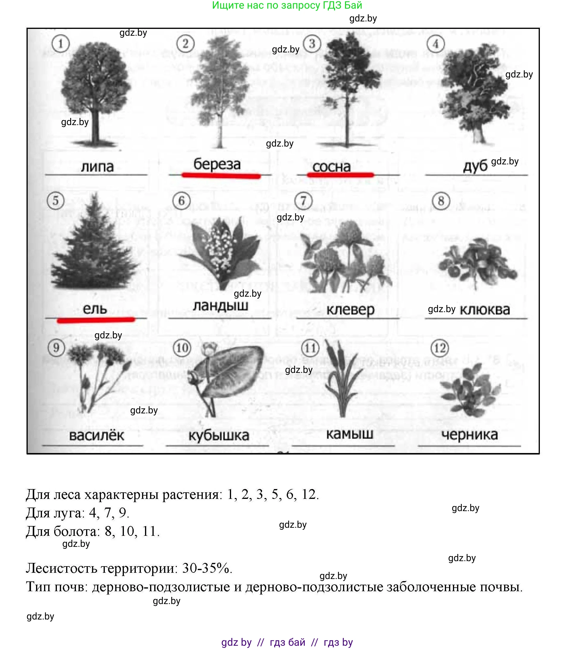 География, 9 класс тетрадь для практических и самостоятельных работ, авторы: Кольмакова Елена Генадьевна, Пикулик Валентина Владимировна, Сарычева Ольга Владимировна, издательство Аверсэв, Минск, 2020, страница 21, номер 6, Решение (продолжение 2)