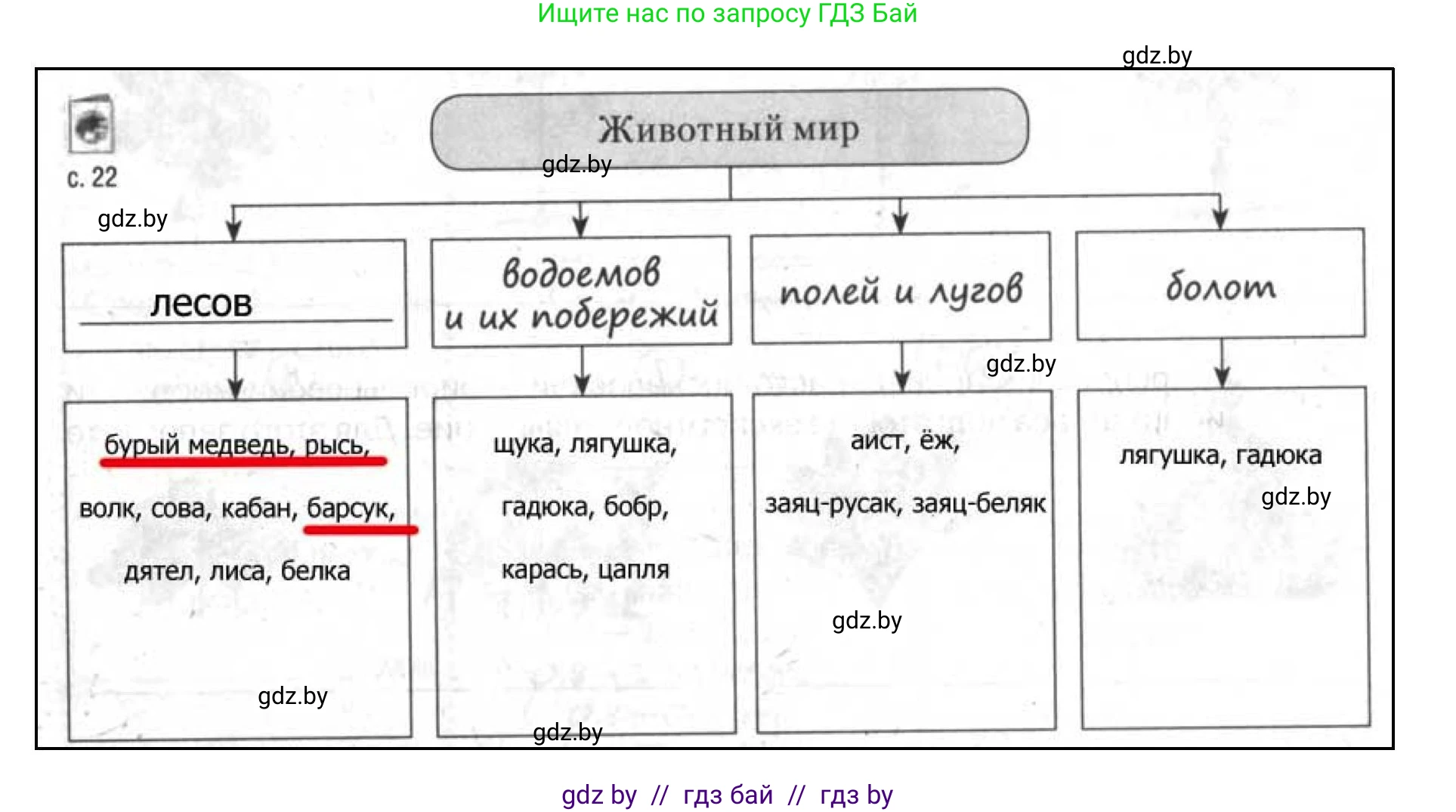 География, 9 класс тетрадь для практических и самостоятельных работ, авторы: Кольмакова Елена Генадьевна, Пикулик Валентина Владимировна, Сарычева Ольга Владимировна, издательство Аверсэв, Минск, 2020, страница 22, номер 7, Решение