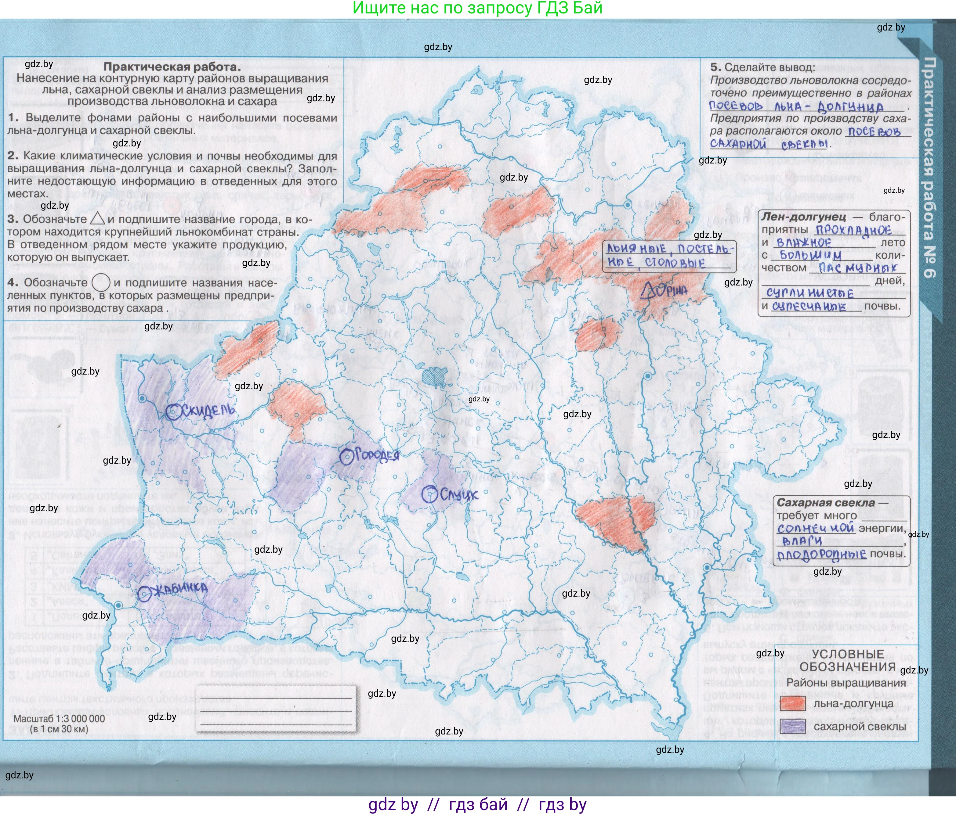 География, 9 класс Контурные карты, авторы: Брилевский Михаил Николаевич, Климович Алеся Владимировна, издательство Белкартография, Минск, 2022, голубого цвета, страница 24, Решение