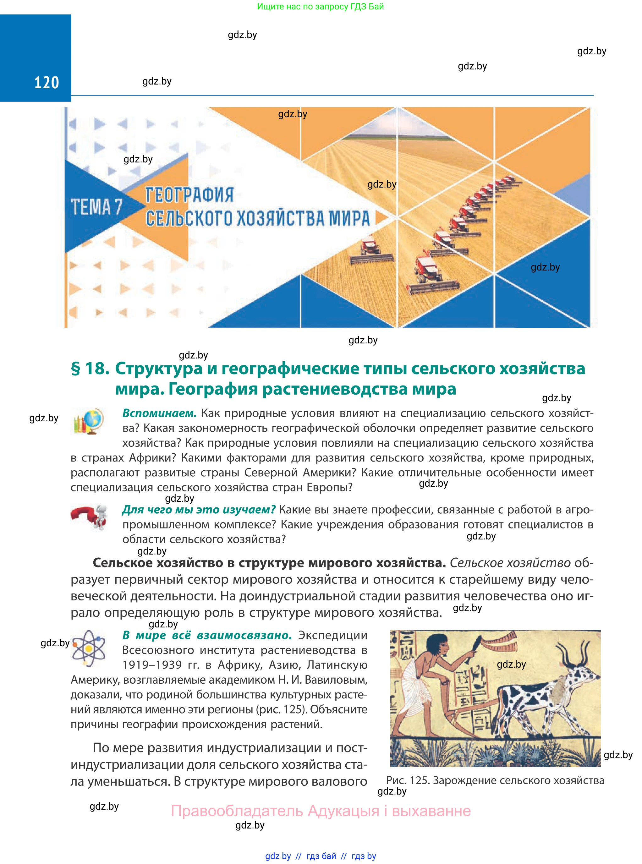 География, 10 класс Учебник, авторы: Антипова Екатерина Анатольевна, Гузова Ольга Николаевна, издательство Адукацыя i выхаванне, Минск, 2019, страница 120