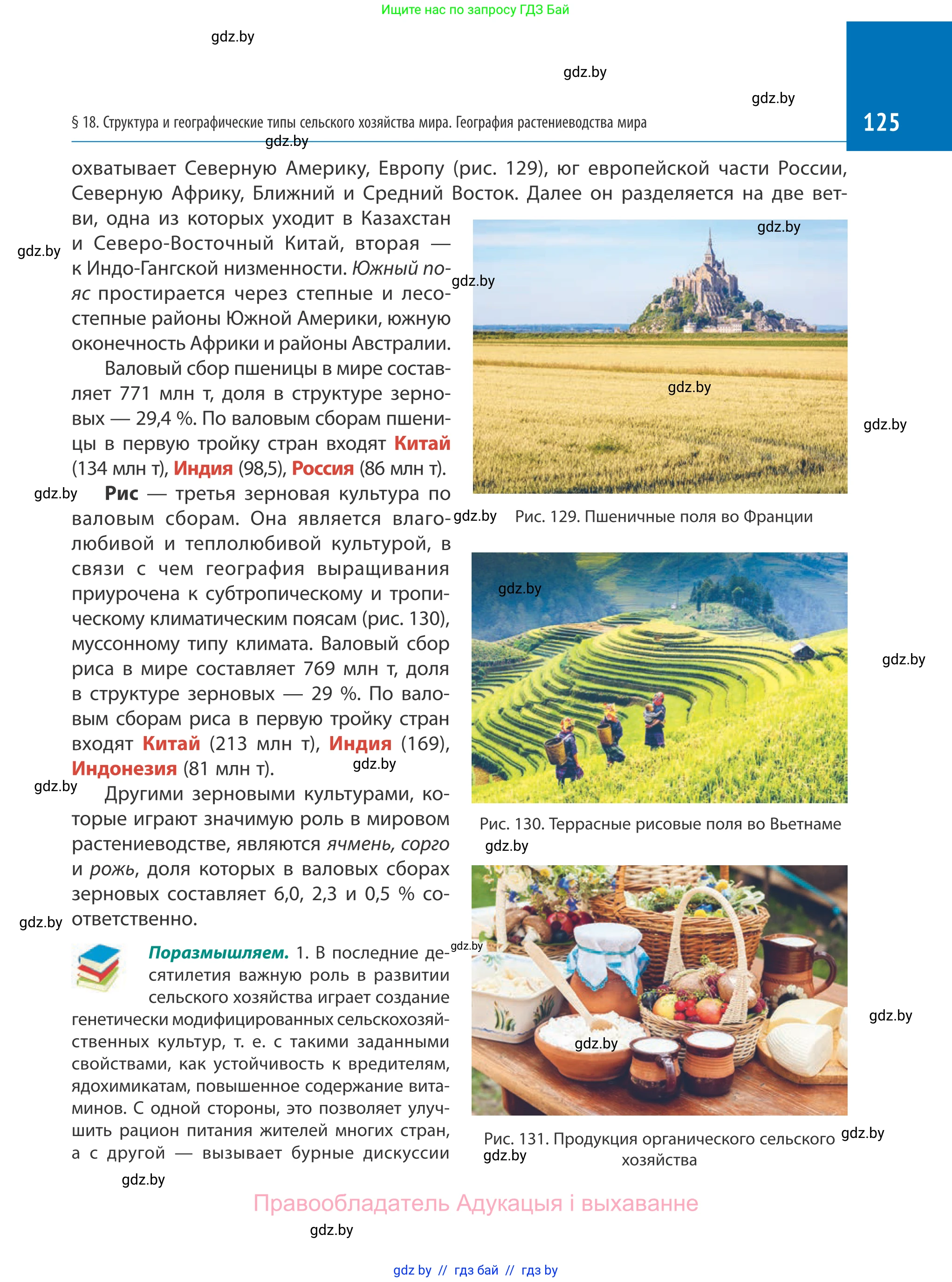 География, 10 класс Учебник, авторы: Антипова Екатерина Анатольевна, Гузова Ольга Николаевна, издательство Адукацыя i выхаванне, Минск, 2019, страница 125