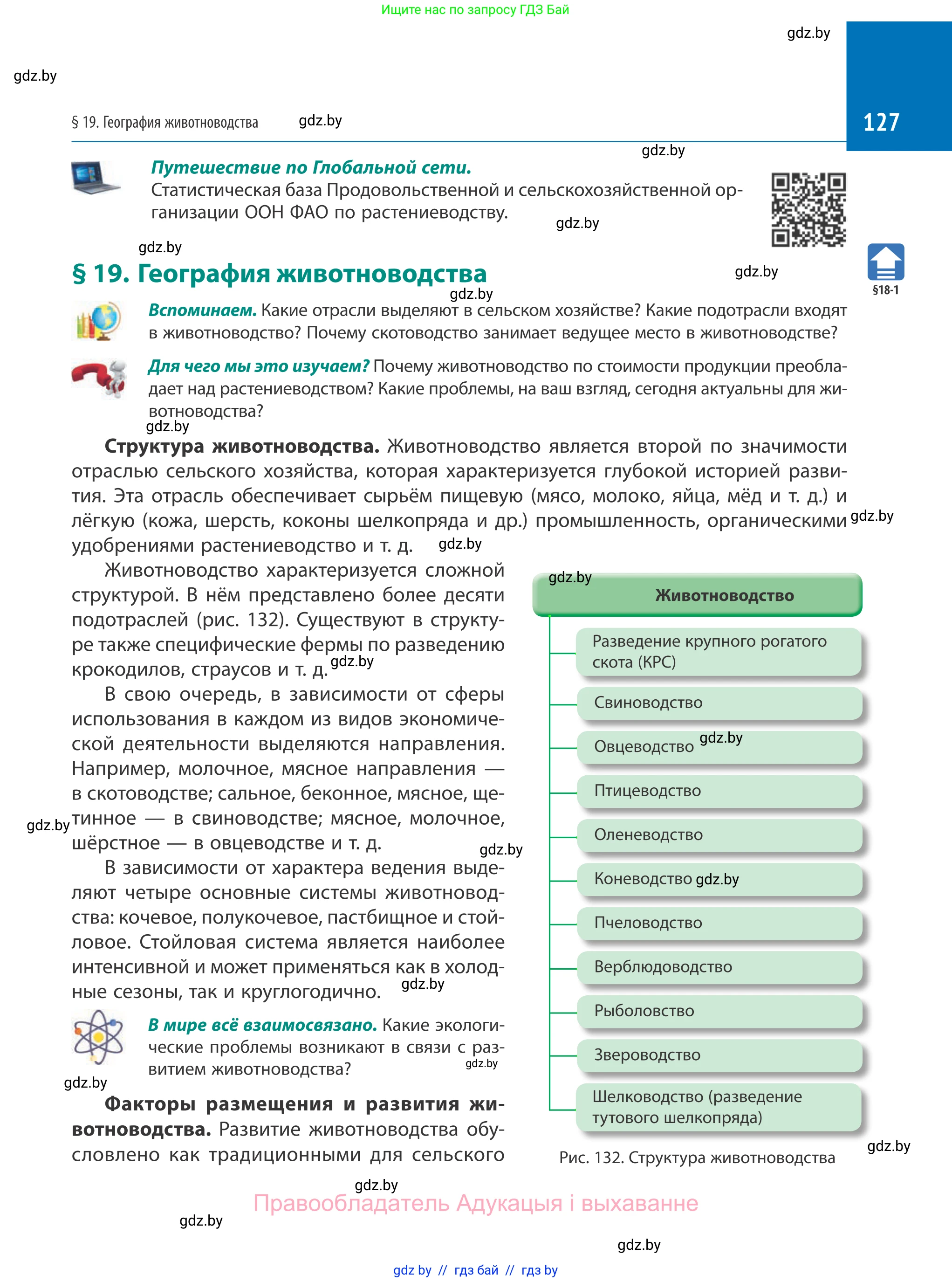География, 10 класс Учебник, авторы: Антипова Екатерина Анатольевна, Гузова Ольга Николаевна, издательство Адукацыя i выхаванне, Минск, 2019, страница 127