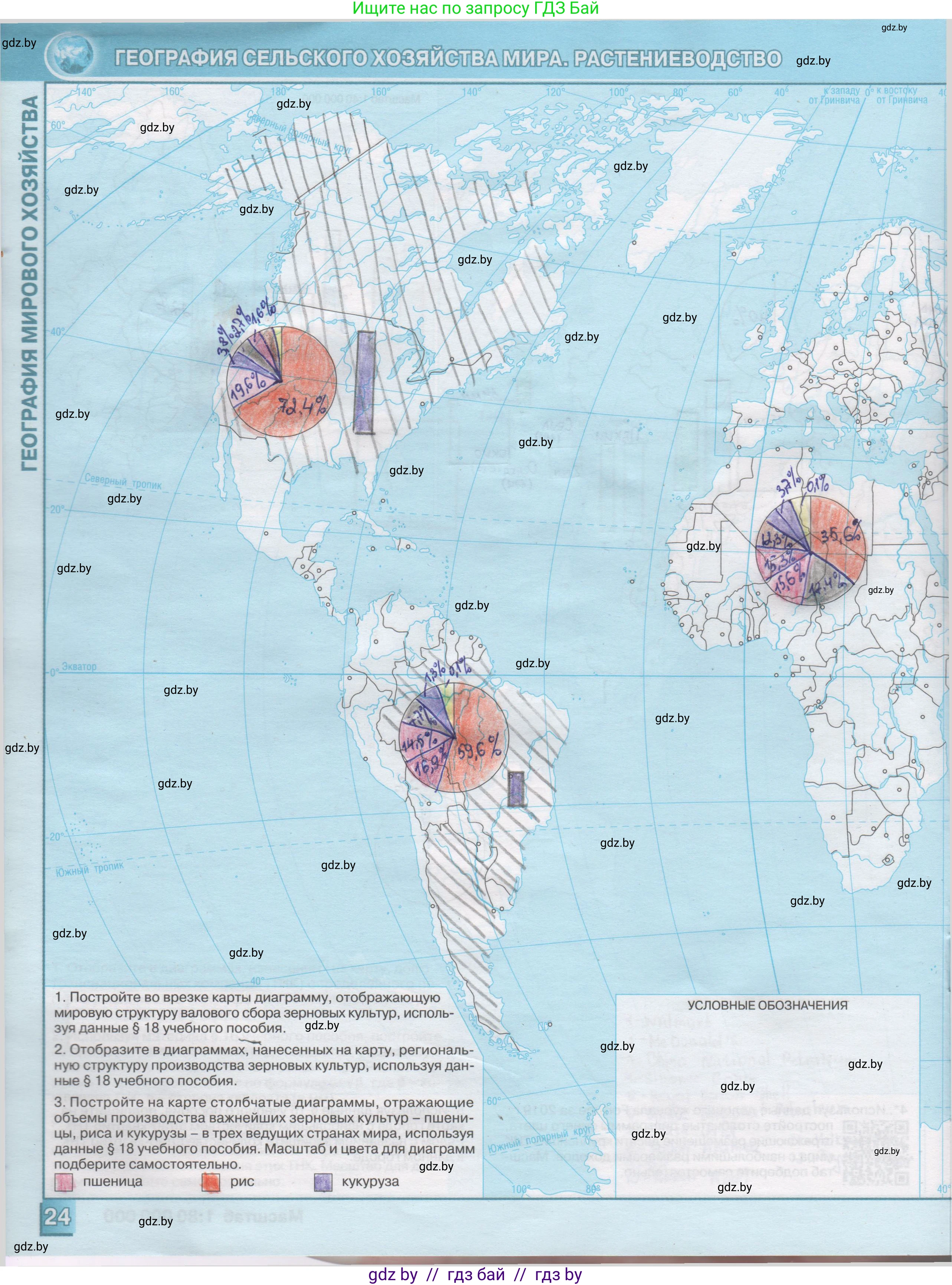 География, 10 класс Контурные карты, авторы: Антипова Екатерина Анатольевна, Гузова Ольга Николаевна, издательство Белкартография, Минск, 2022, голубого цвета, страница 24, Решение