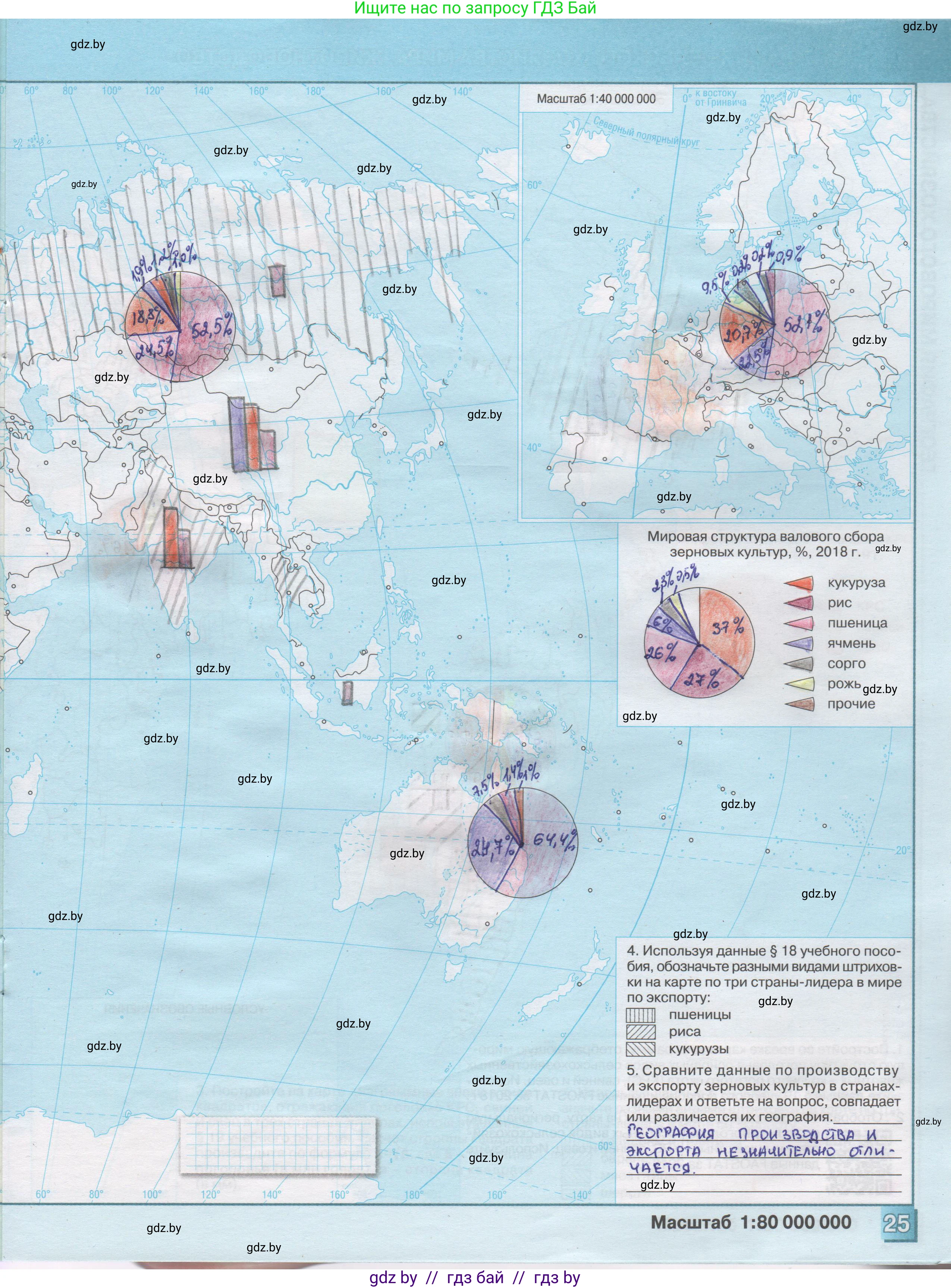 География, 10 класс Контурные карты, авторы: Антипова Екатерина Анатольевна, Гузова Ольга Николаевна, издательство Белкартография, Минск, 2022, голубого цвета, страница 25, Решение