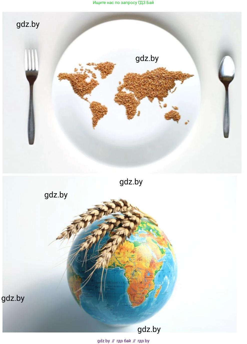 География, 11 класс рабочая тетрадь, авторы: Кольмакова Елена Генадьевна, Тарасенок Елена Николаевна, Сарычева Ольга Владимировна, издательство Аверсэв, Минск, 2022, голубого цвета, страница 84, Решение (продолжение 2)