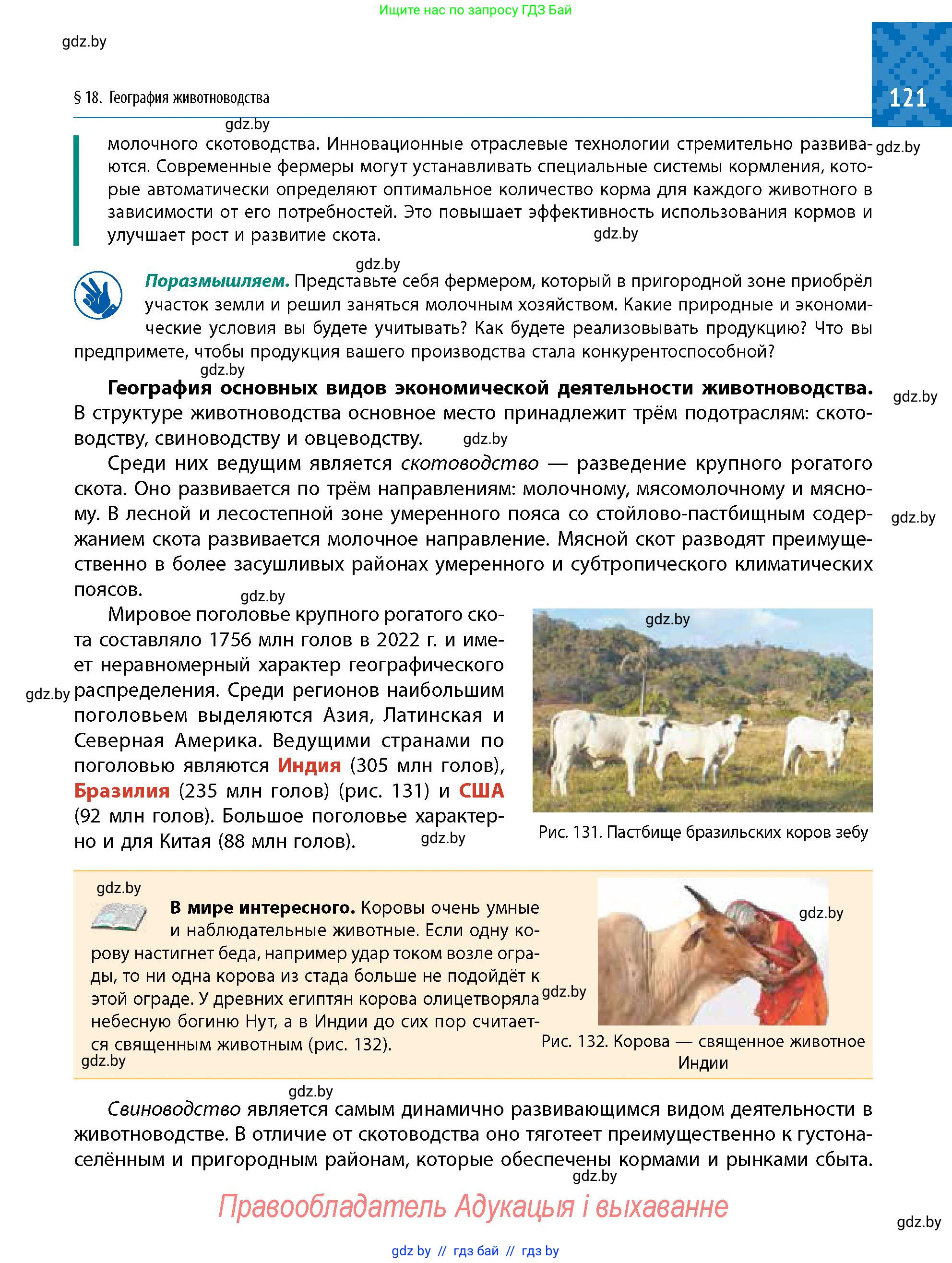 Условие