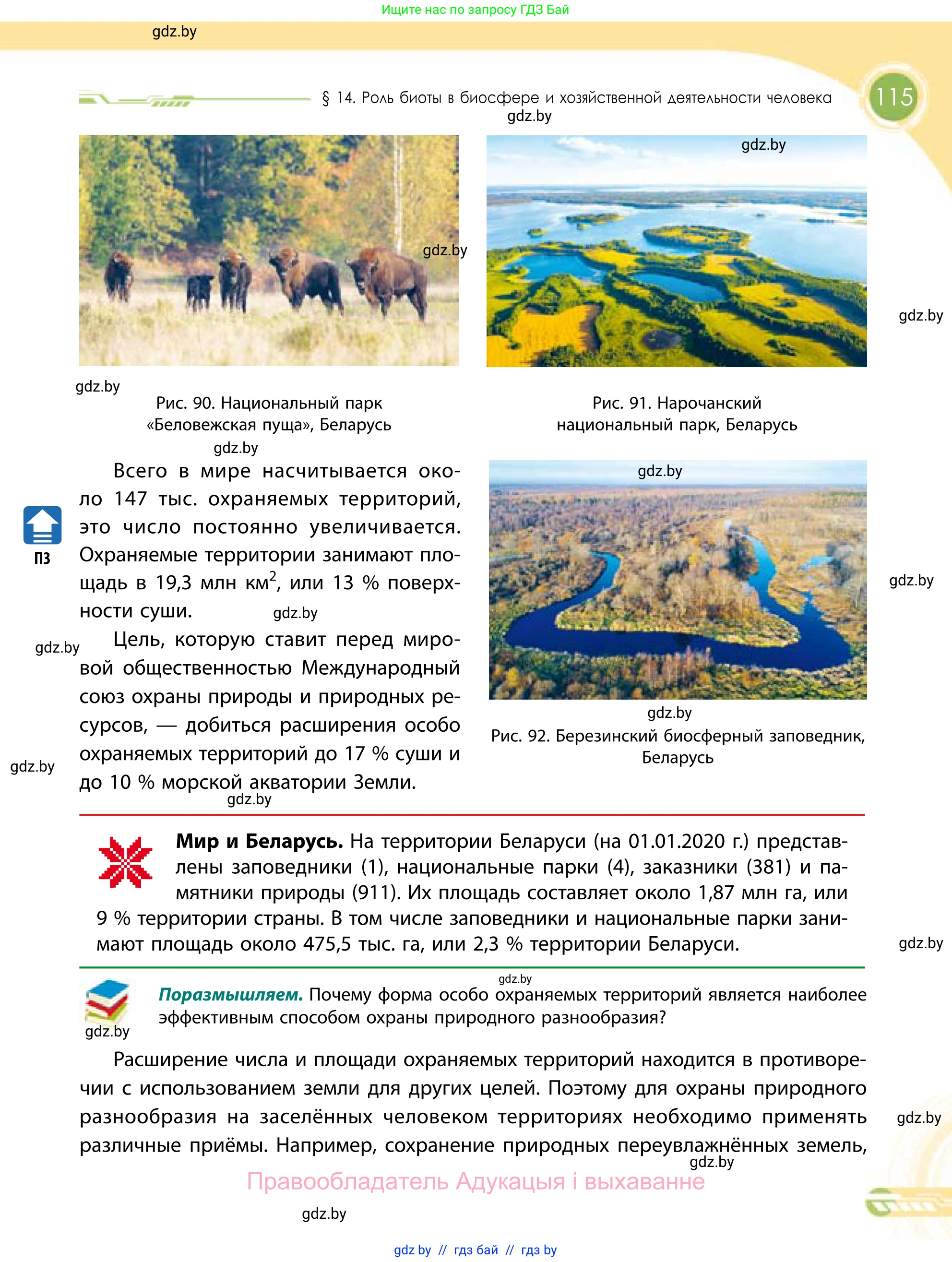 География, 11 класс Учебник, авторы: Витченко Александр Николаевич, Антипова Екатерина Анатольевна, Гузова Ольга Николаевна, издательство Адукацыя i выхаванне, Минск, 2021, страница 115