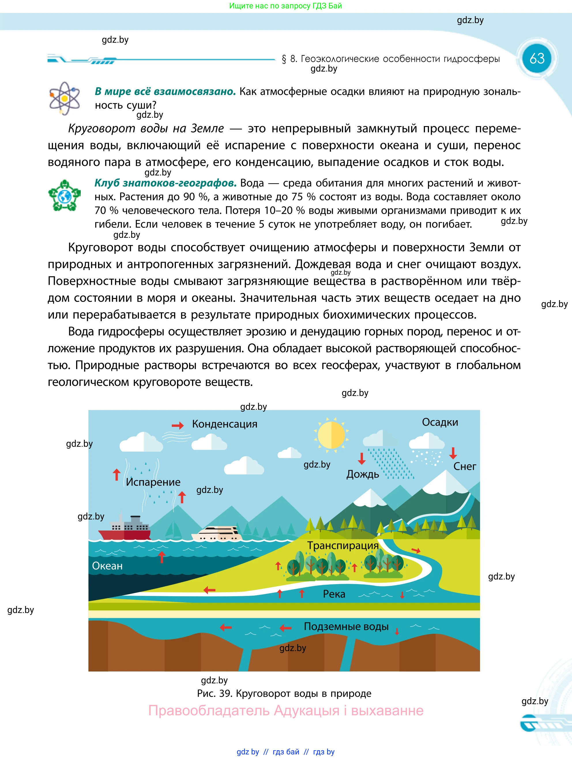 География, 11 класс Учебник, авторы: Витченко Александр Николаевич, Антипова Екатерина Анатольевна, Гузова Ольга Николаевна, издательство Адукацыя i выхаванне, Минск, 2021, страница 63