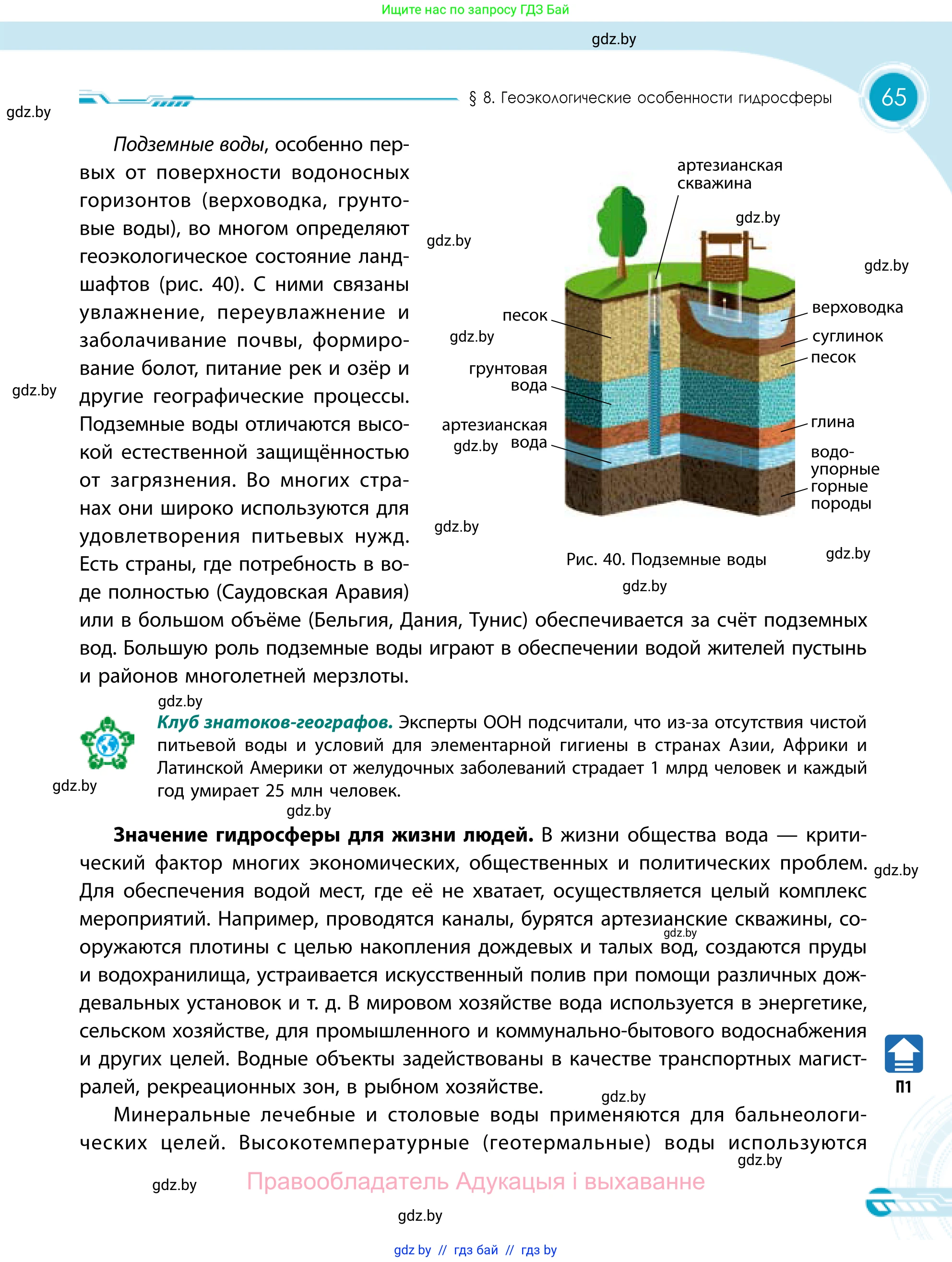 География, 11 класс Учебник, авторы: Витченко Александр Николаевич, Антипова Екатерина Анатольевна, Гузова Ольга Николаевна, издательство Адукацыя i выхаванне, Минск, 2021, страница 65
