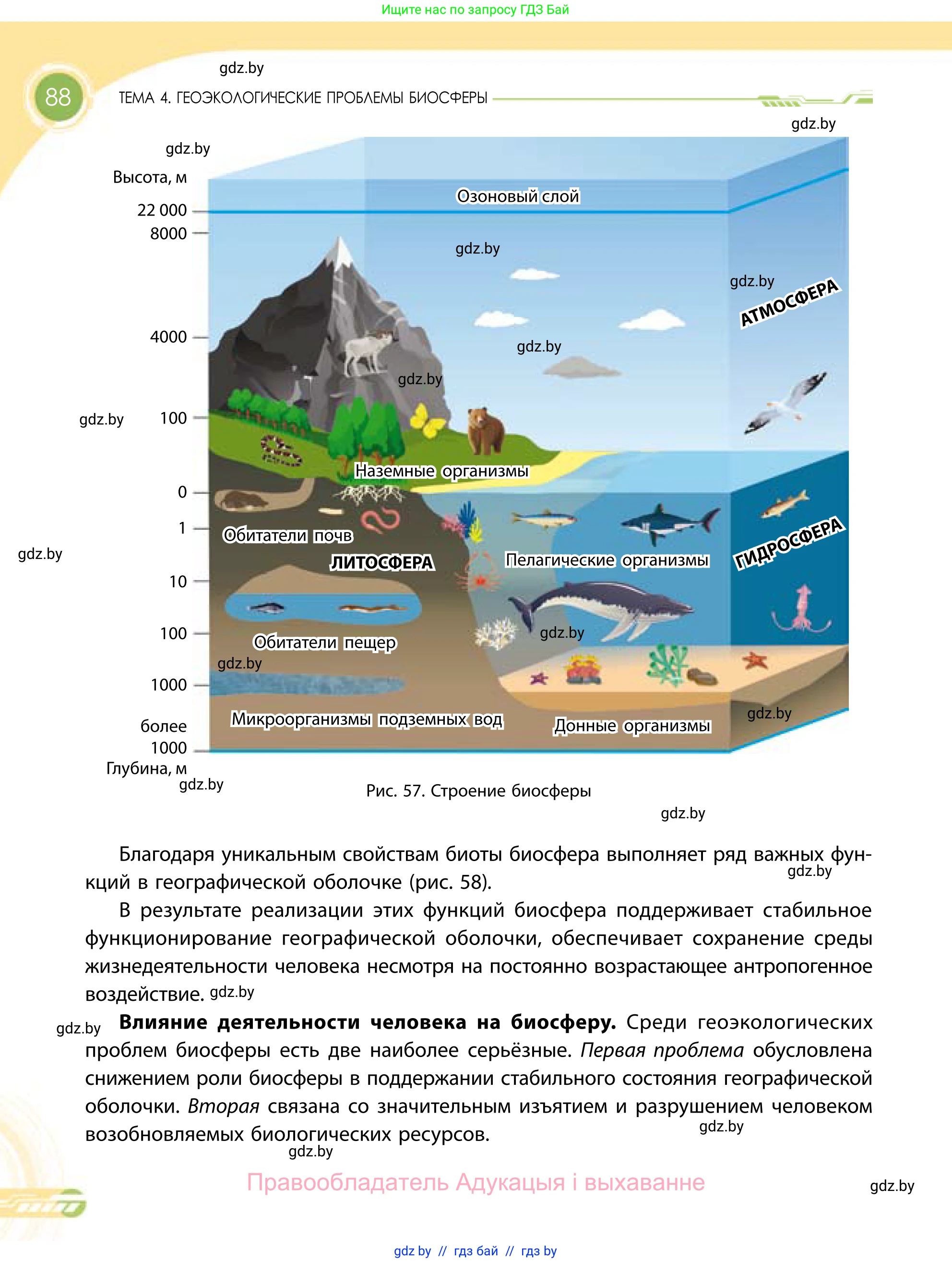 География, 11 класс Учебник, авторы: Витченко Александр Николаевич, Антипова Екатерина Анатольевна, Гузова Ольга Николаевна, издательство Адукацыя i выхаванне, Минск, 2021, страница 88
