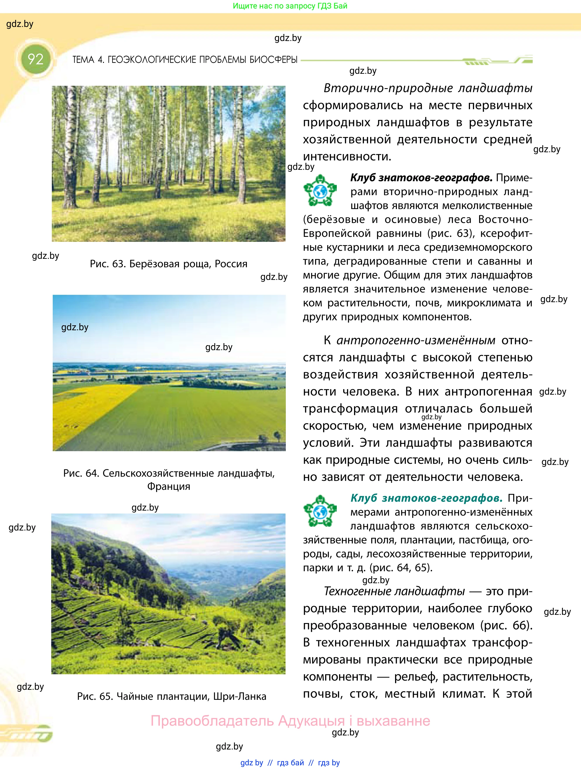География, 11 класс Учебник, авторы: Витченко Александр Николаевич, Антипова Екатерина Анатольевна, Гузова Ольга Николаевна, издательство Адукацыя i выхаванне, Минск, 2021, страница 92