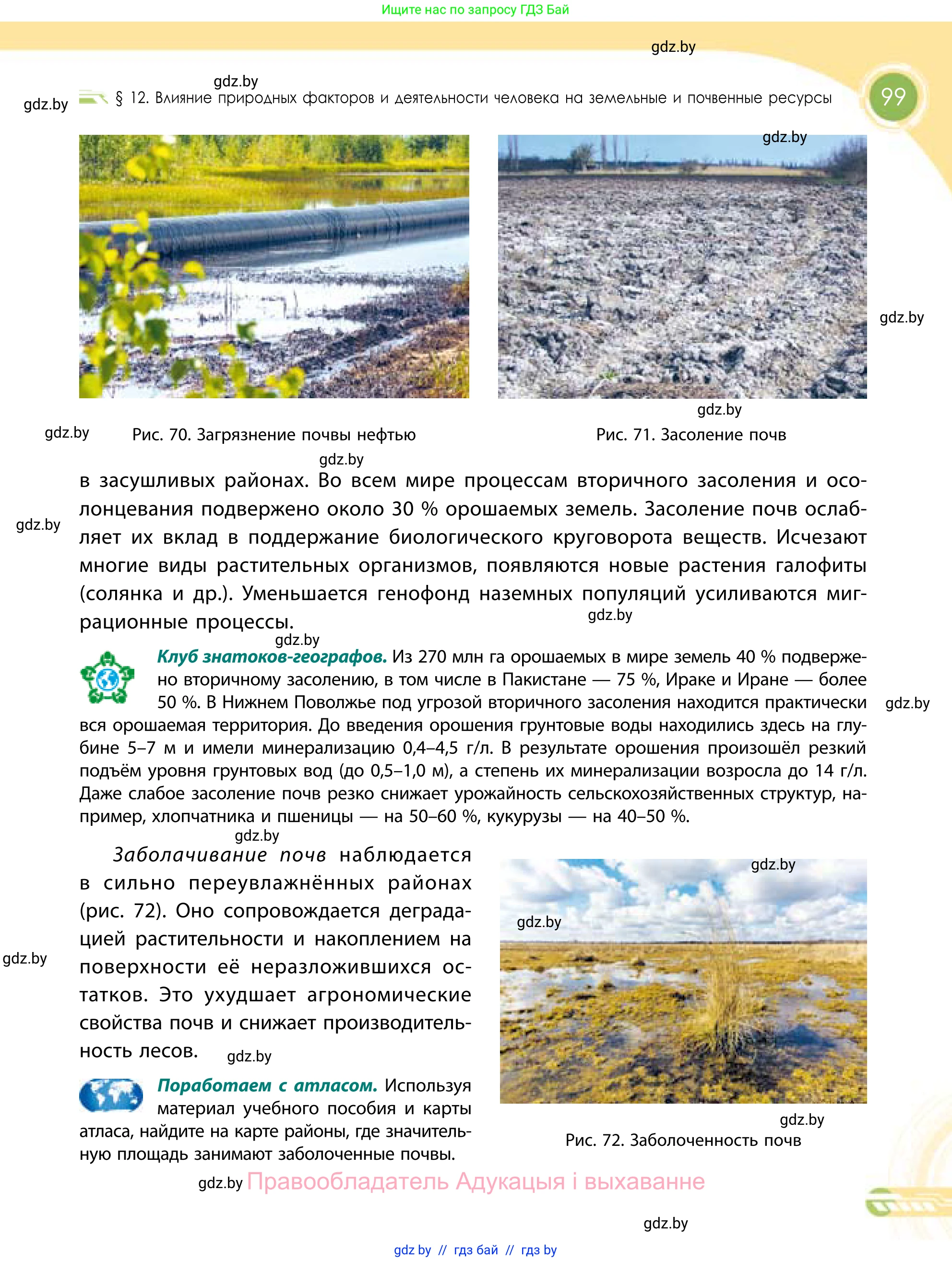 География, 11 класс Учебник, авторы: Витченко Александр Николаевич, Антипова Екатерина Анатольевна, Гузова Ольга Николаевна, издательство Адукацыя i выхаванне, Минск, 2021, страница 99
