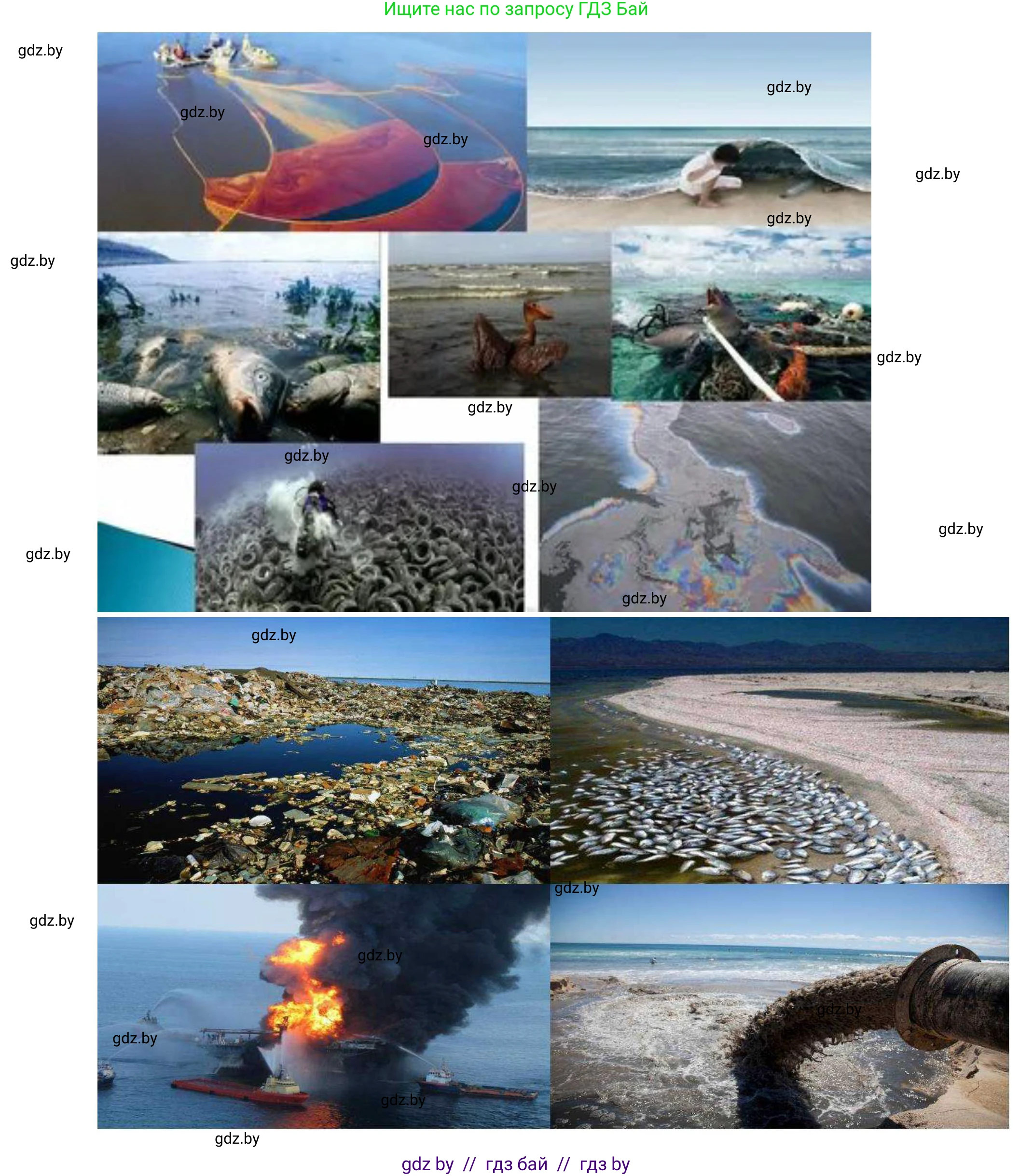 География, 11 класс Учебник, авторы: Витченко Александр Николаевич, Антипова Екатерина Анатольевна, Гузова Ольга Николаевна, издательство Адукацыя i выхаванне, Минск, 2021, страница 86, номер 1, Решение (продолжение 2)