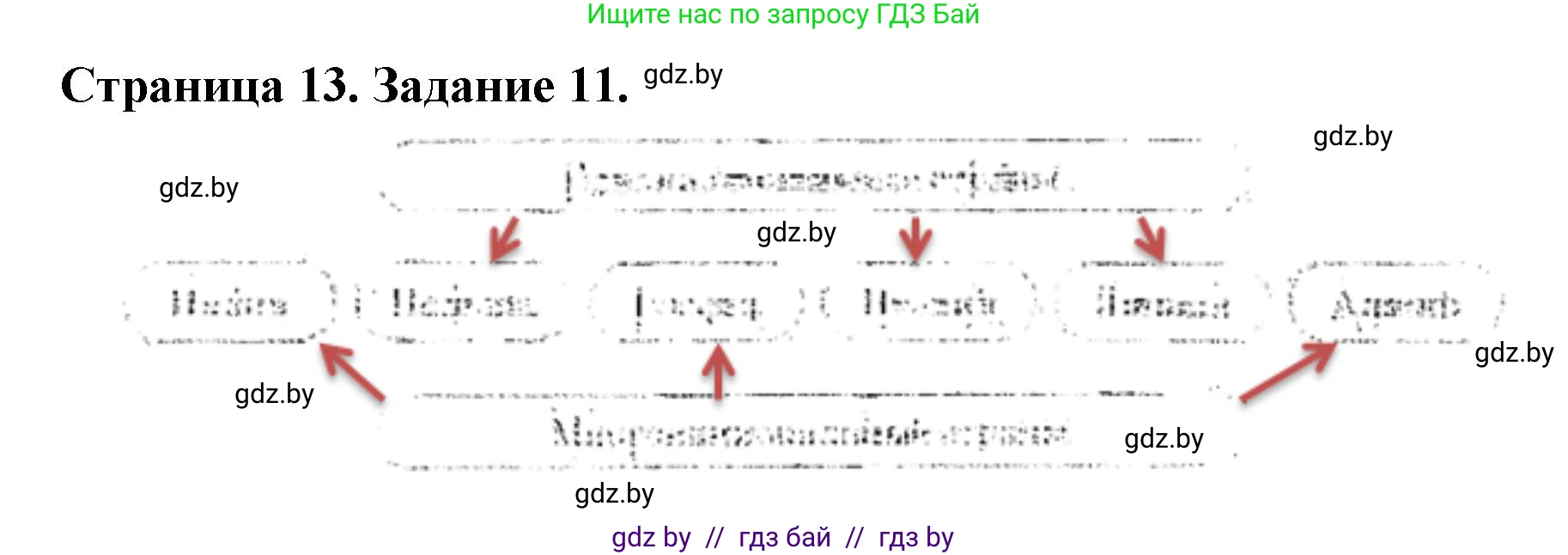 География, 8 класс Тетрадь для практических работ и индивидуальных заданий, авторы: Витченко Александр Николаевич, Антипова Екатерина Анатольевна, Станкевич Наталья Григорьевна, издательство Аверсэв, Минск, 2024, страница 13, номер 11, Решение