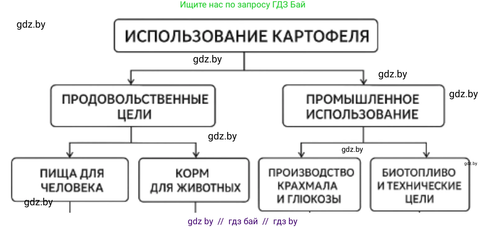 География, 8 класс Тетрадь для практических работ и индивидуальных заданий, авторы: Витченко Александр Николаевич, Антипова Екатерина Анатольевна, Станкевич Наталья Григорьевна, издательство Аверсэв, Минск, 2024, страница 30, номер 6, Решение