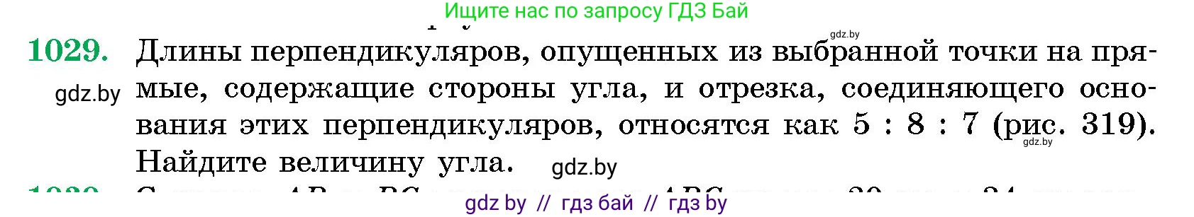 Геометрия, 10 класс Сборник задач, авторы: Латотин Леонид Александрович, Чеботаревский Борис Дмитриевич, издательство Народная асвета, Минск, 2021, страница 143, номер 1029, Условие