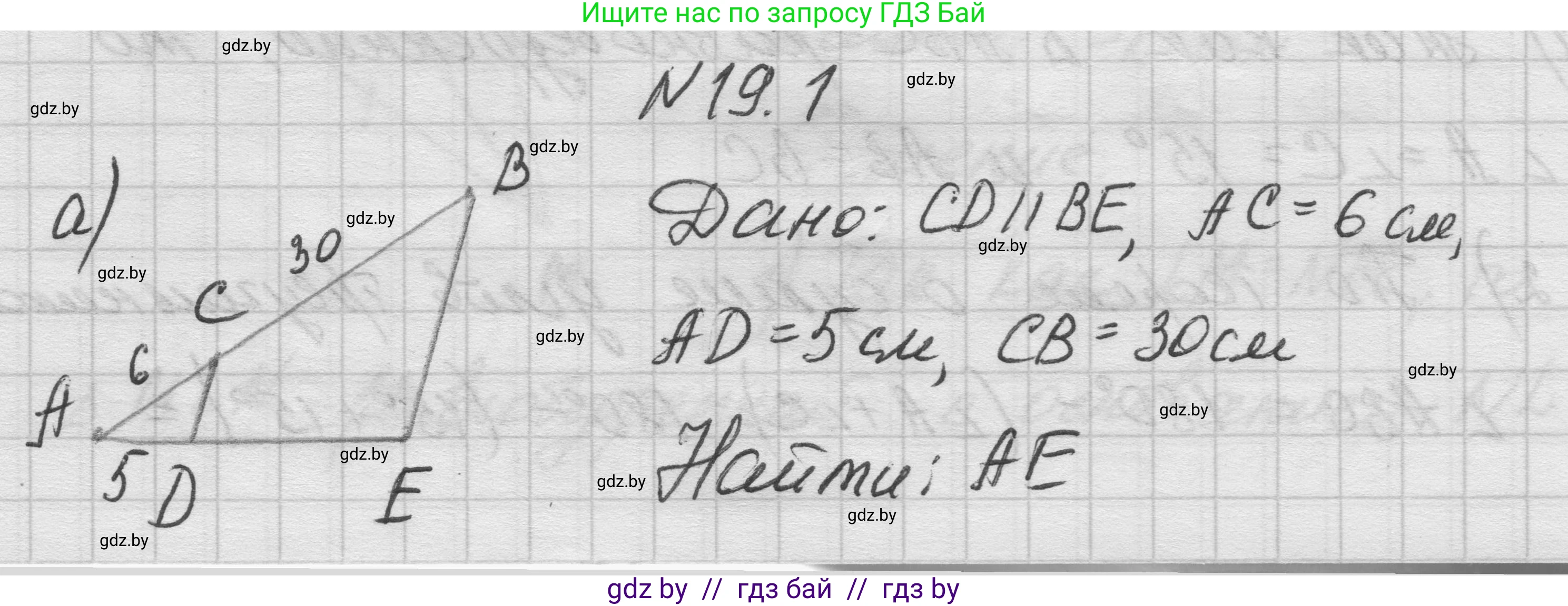 Геометрия, 7-9 класс Сборник задач, авторы: Кононов Сергей Гаврилович, Адамович Тамара Антоновна, Ефимцева Ирина Валерьяновна, Ячейко Таиса Владимировна, издательство Народная асвета, Минск, 2023, страница 100, номер 19.1, Решение 1