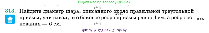 Геометрия, 11 класс Учебник, авторы: Латотин Леонид Александрович, Чеботаревский Борис Дмитриевич, Горбунова Ирина Владимировна, Цыбулько Оксана Евгеньевна, издательство Белорусская Энциклопедия имени Петруся Бровки, Минск, 2020, белого цвета, страница 104, номер 313, Условие