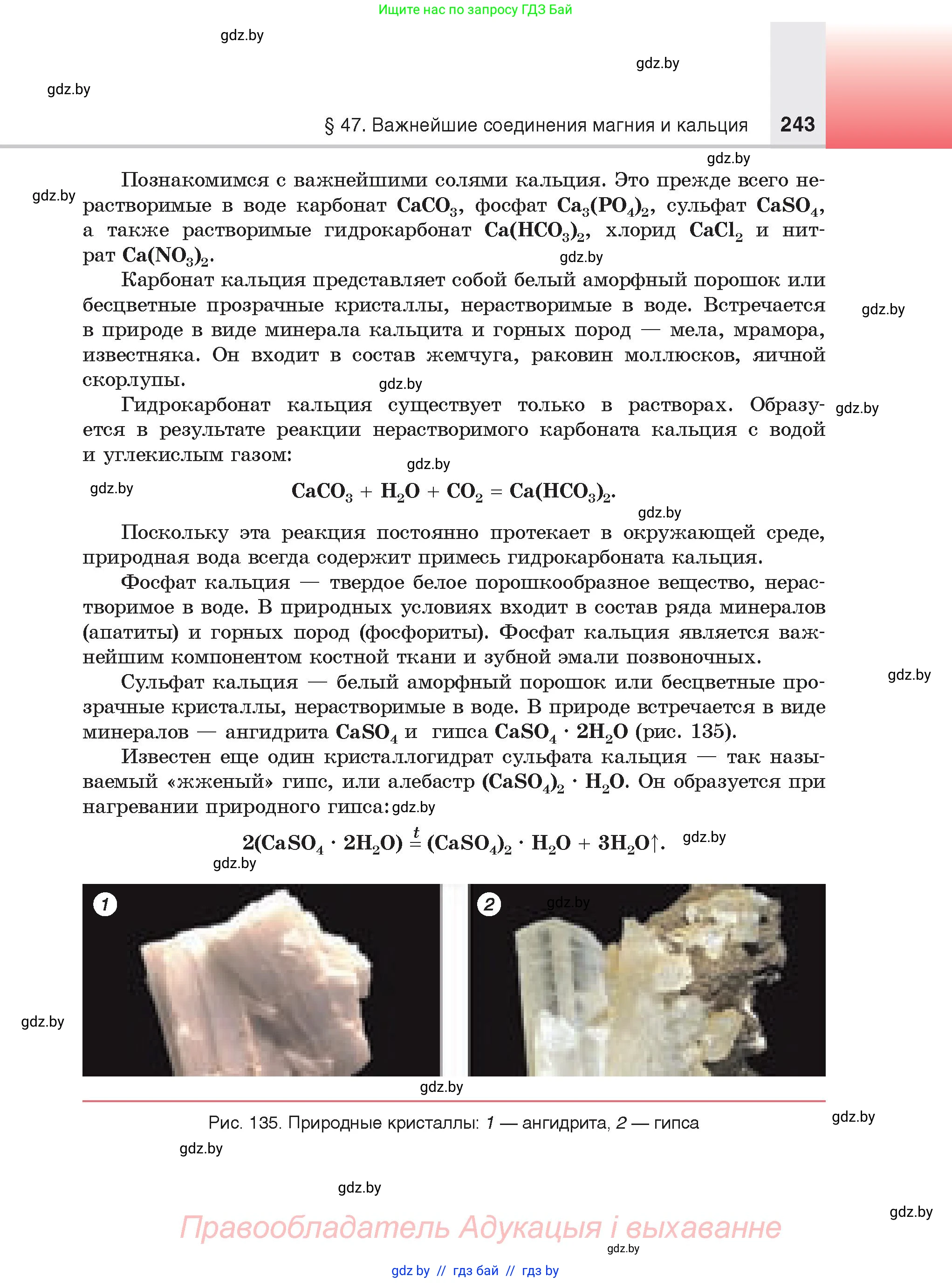 Химия, 9 класс Учебник, авторы: Шиманович Игорь Евгеньевич, Василевская Елена Ивановна, Красицкий Василий Анатольевич, Сечко Ольга Ивановна, Сечко Ольга Ивановна, издательство Адукацыя i выхаванне, Минск, 2025, зелёного цвета, страница 243