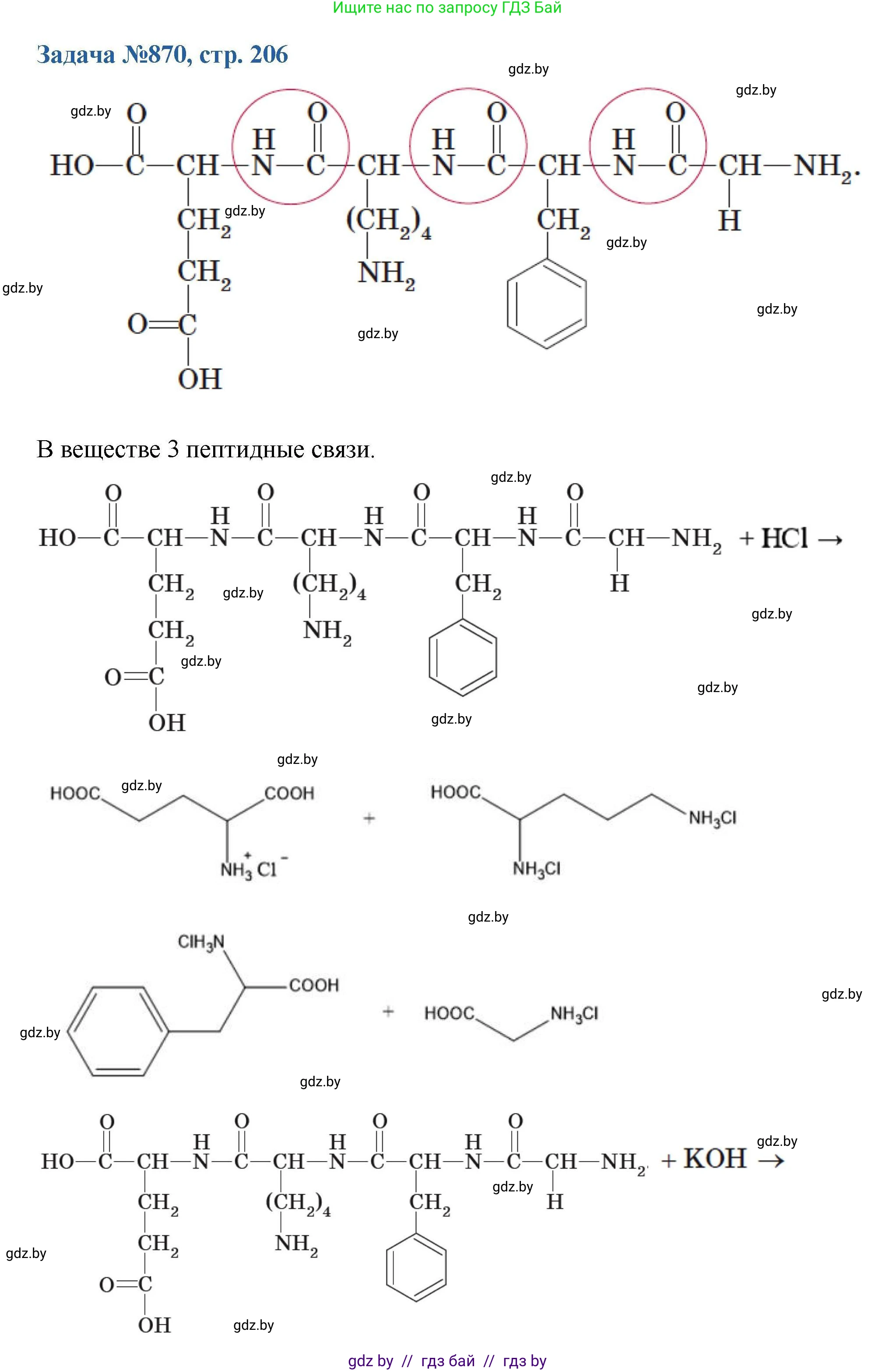 Химия, 10 класс Сборник задач, авторы: Матулис Вадим Эдвардович, Матулис Виталий Эдвардович, Колевич Татьяна Александровна, издательство Национальный институт образования, Минск, 2021, страница 206, номер 870, Решение