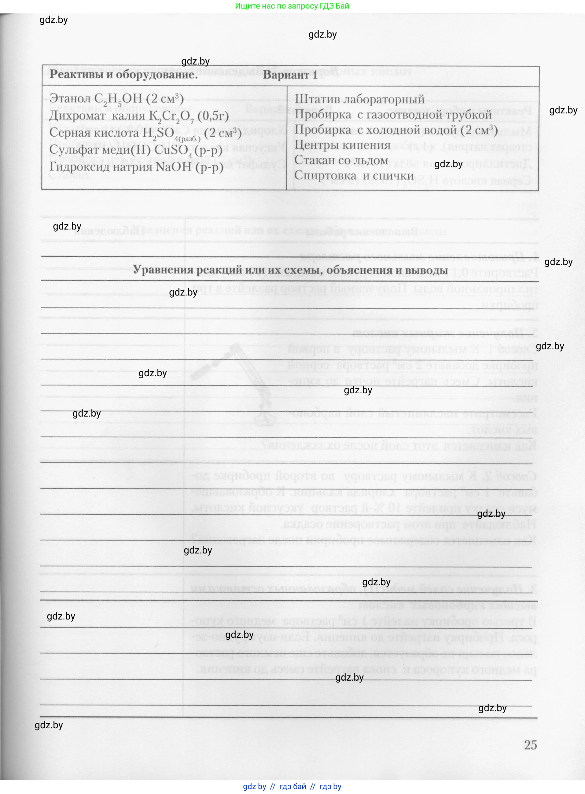 Химия, 10 класс Тетрадь для практических работ, автор: Борушко Ирина Ивановна, издательство Сэр-Вит, Минск, 2020, голубого цвета, страница 25