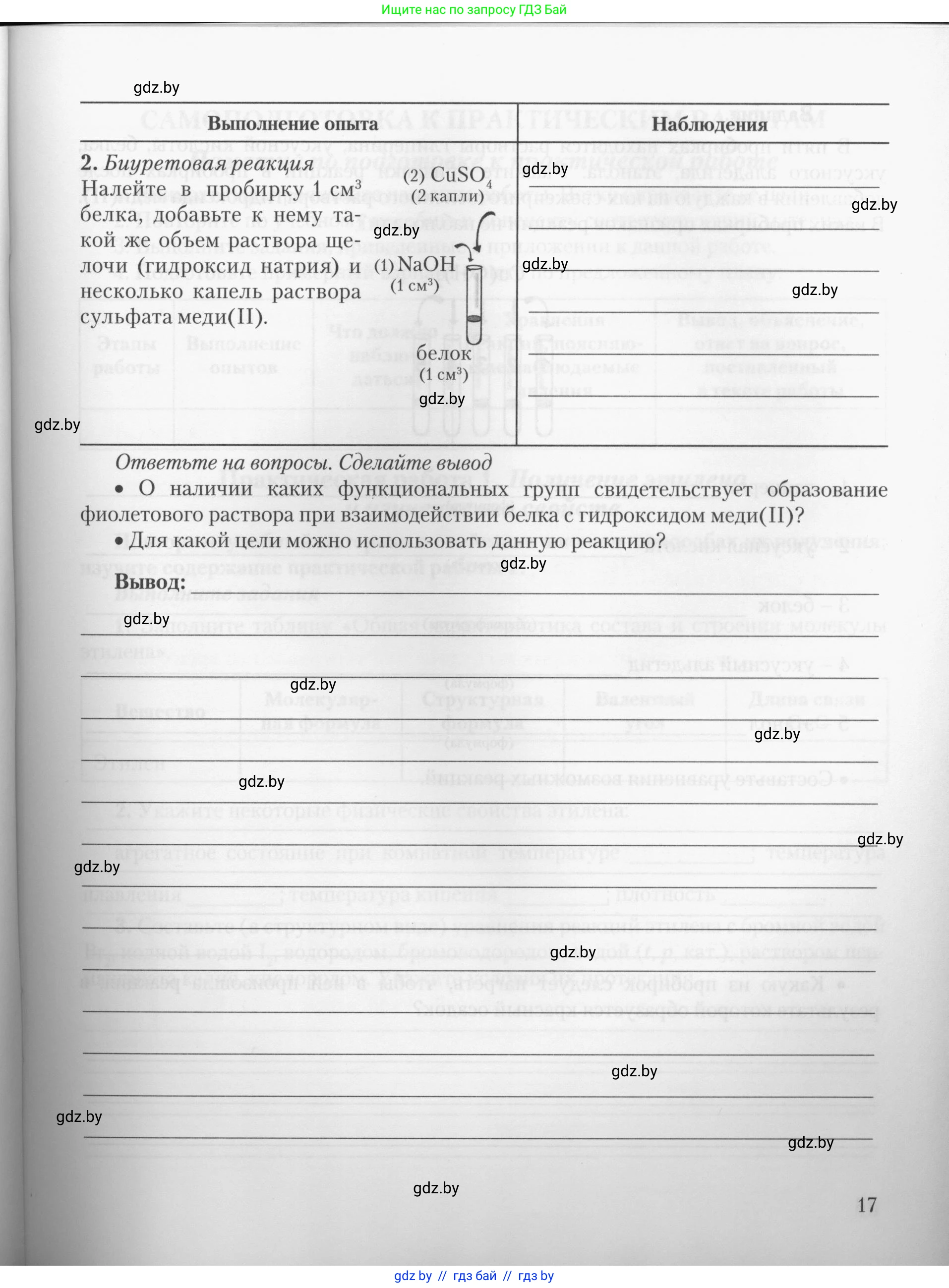 Химия, 10 класс Тетрадь для практических работ, автор: Борушко Ирина Ивановна, издательство Сэр-Вит, Минск, 2020, голубого цвета, страница 17