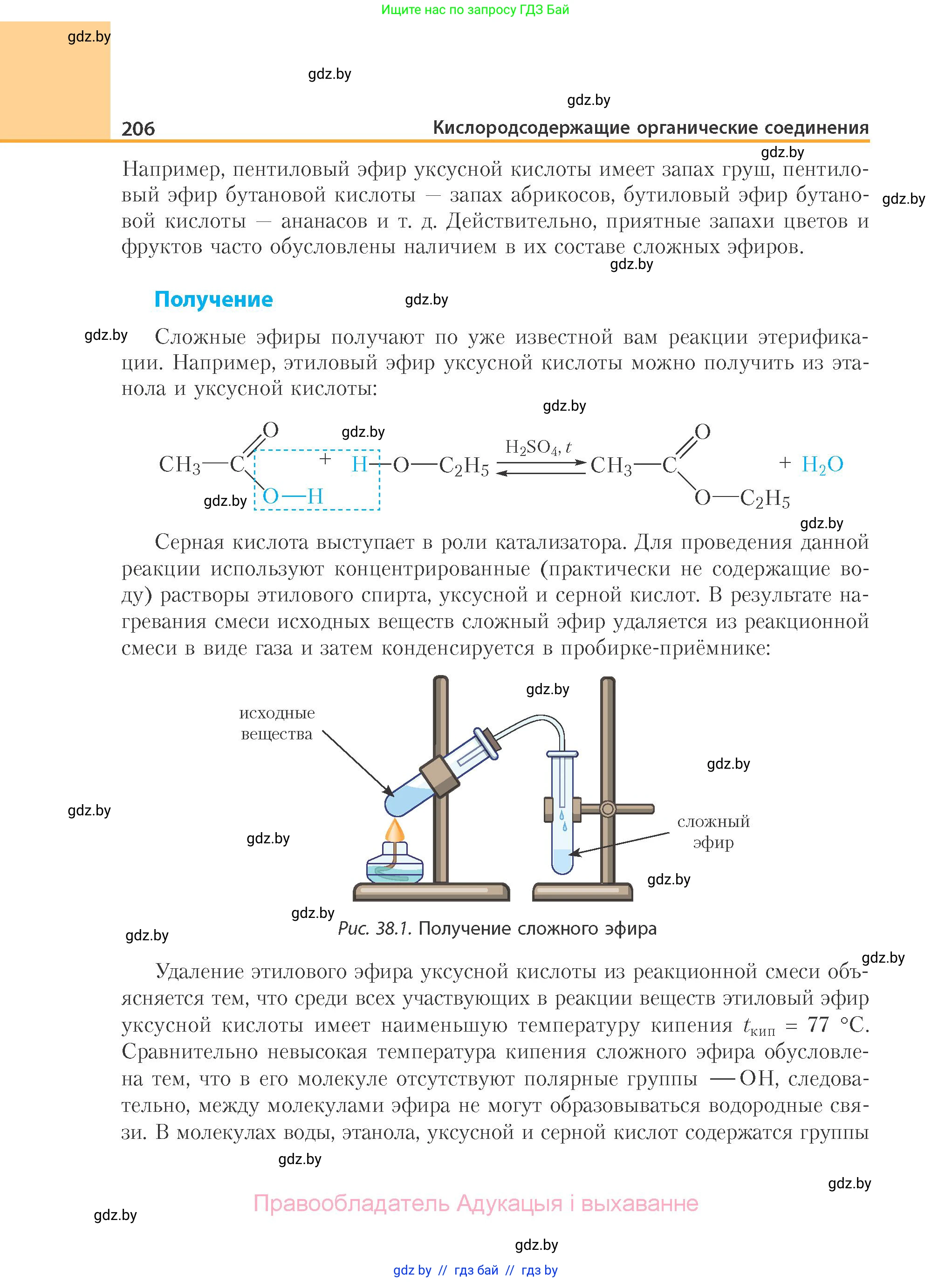 Химия, 10 класс Учебник, авторы: Колевич Татьяна Александровна, Матулис Вадим Эдвардович, Матулис Виталий Эдвардович, Варакса Игорь Николаевич, издательство Адукацыя i выхаванне, Минск, 2019, страница 206