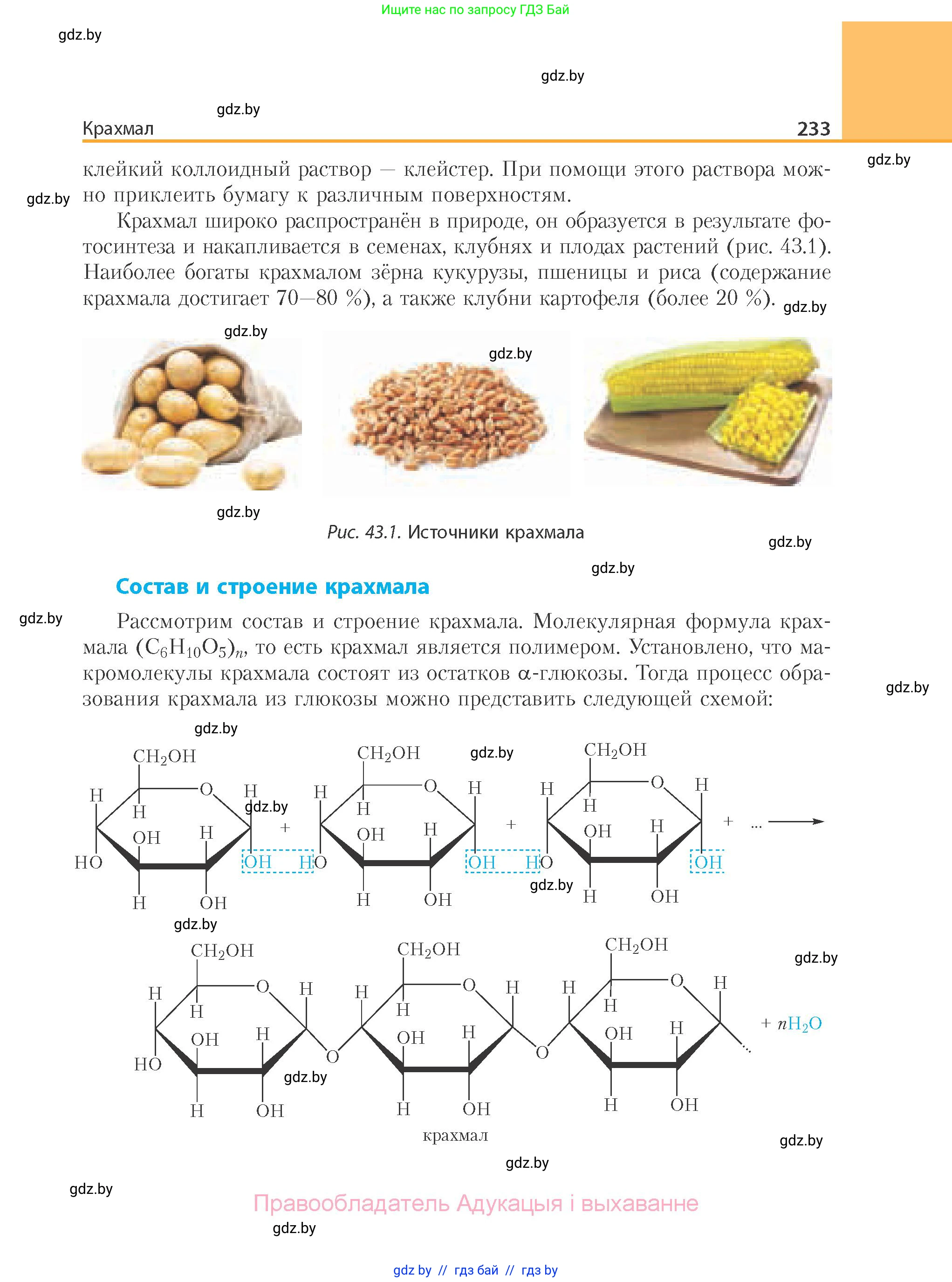 Химия, 10 класс Учебник, авторы: Колевич Татьяна Александровна, Матулис Вадим Эдвардович, Матулис Виталий Эдвардович, Варакса Игорь Николаевич, издательство Адукацыя i выхаванне, Минск, 2019, страница 233
