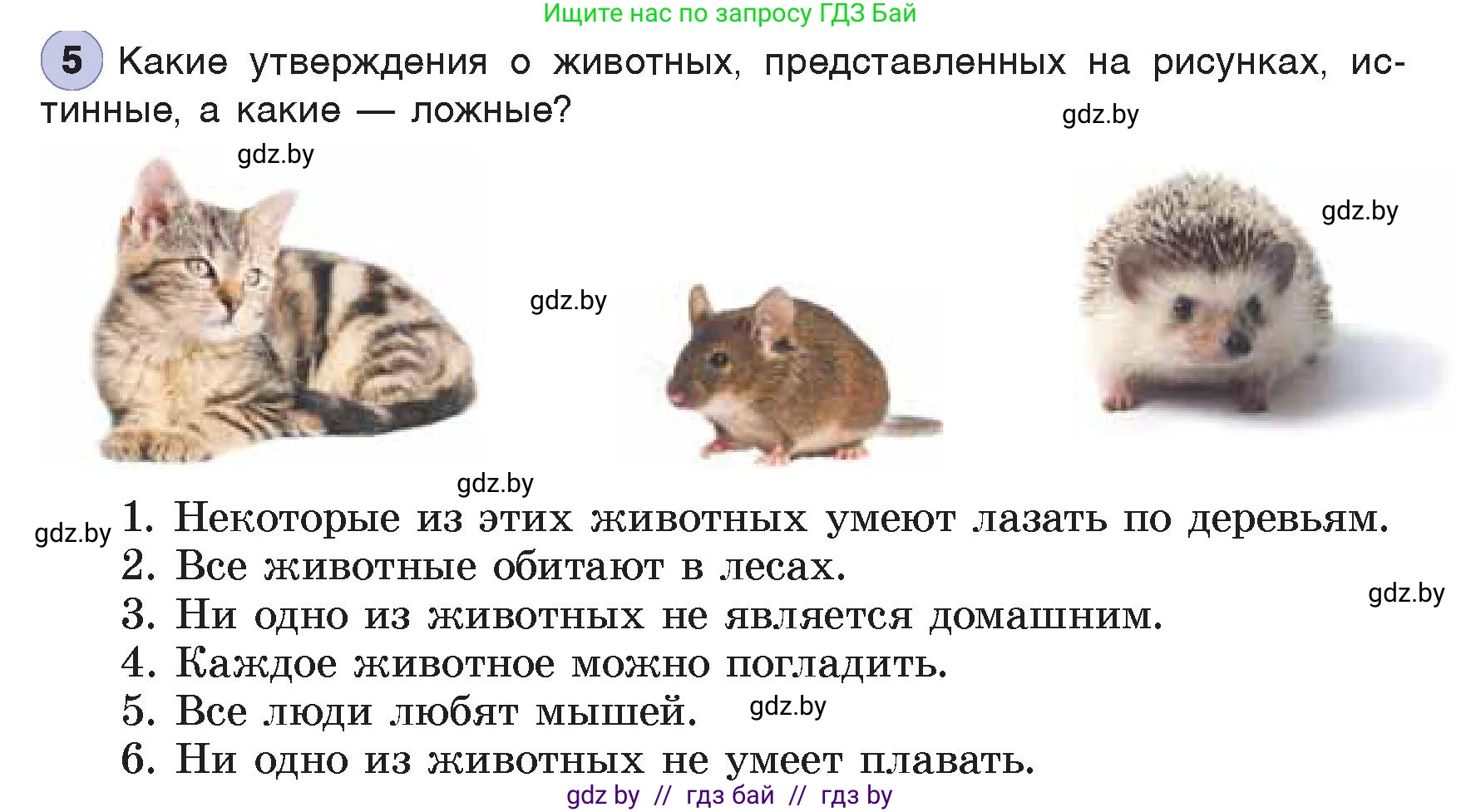 Информатика, 7 класс Учебник, авторы: Котов Владимир Михайлович, Лапо Анжелика Ивановна, Войтехович Елена Николаевна, издательство Народная асвета, Минск, 2017, страница 24, номер 5, Условие