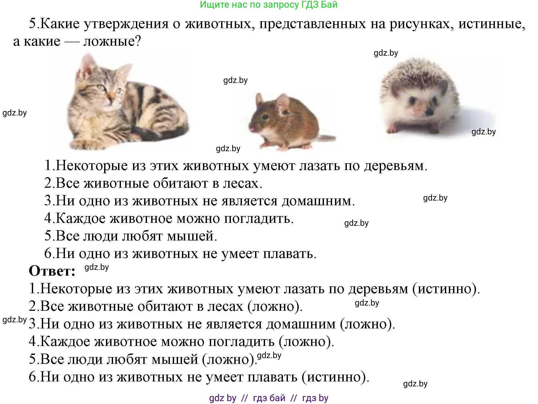 Информатика, 7 класс Учебник, авторы: Котов Владимир Михайлович, Лапо Анжелика Ивановна, Войтехович Елена Николаевна, издательство Народная асвета, Минск, 2017, страница 24, номер 5, Решение