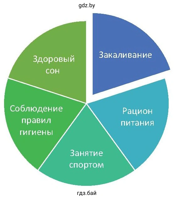 Закаливание Рацион питания Занятие спортом Соблюдение правил гигиены Здоровый сон