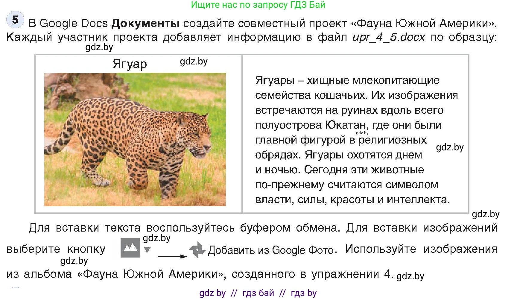 Информатика, 9 класс Учебник, авторы: Котов Владимир Михайлович, Лапо Анжелика Ивановна, Быкадоров Юрий Александрович, Войтехович Елена Николаевна, издательство Народная асвета, Минск, 2019, голубого цвета, страница 23, номер 5, Условие