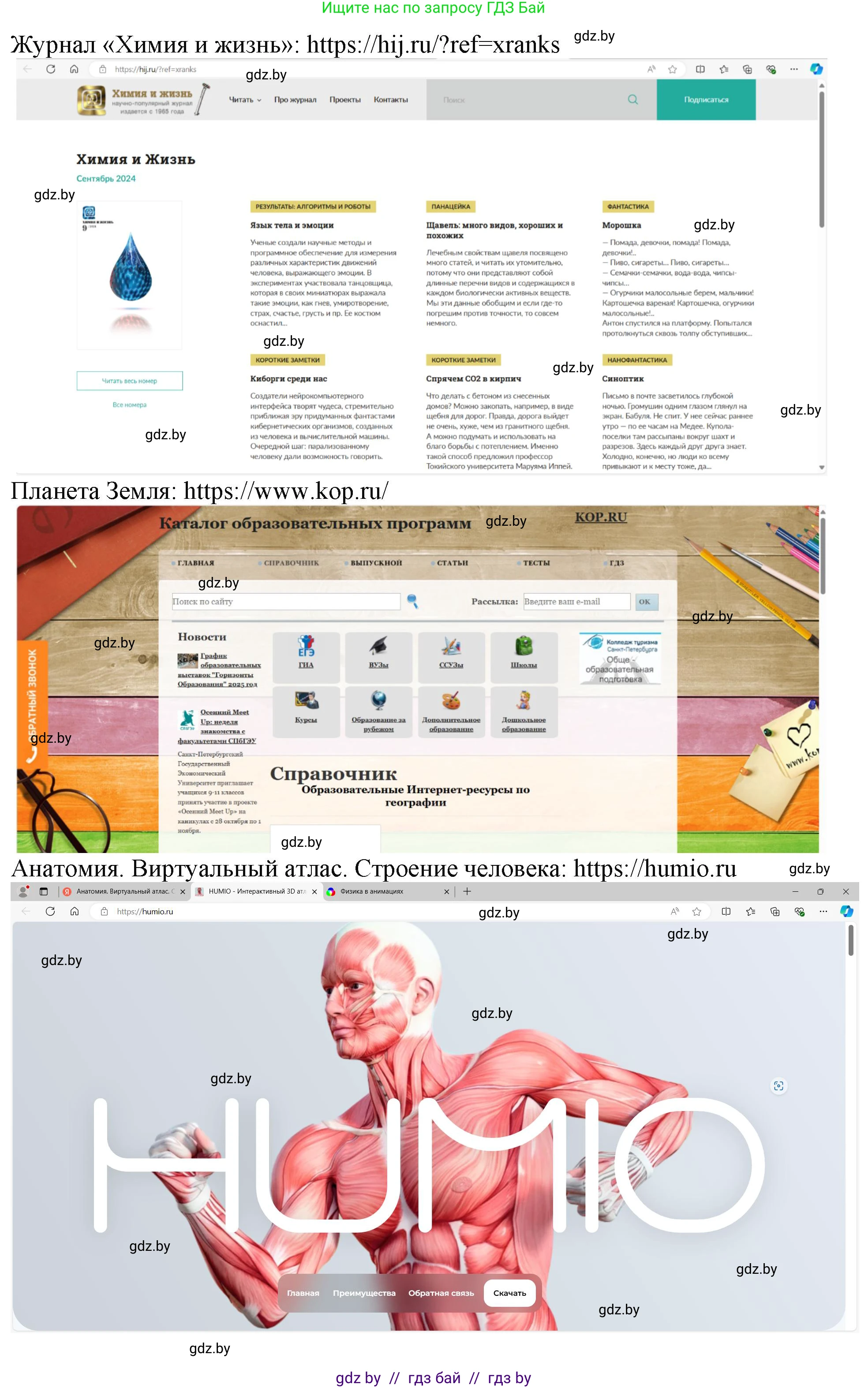 Информатика, 9 класс рабочая тетрадь, автор: Овчинникова Лариса Генадьевна, издательство Аверсэв, Минск, 2019, голубого цвета, страница 16, номер 11, Решение (продолжение 4)