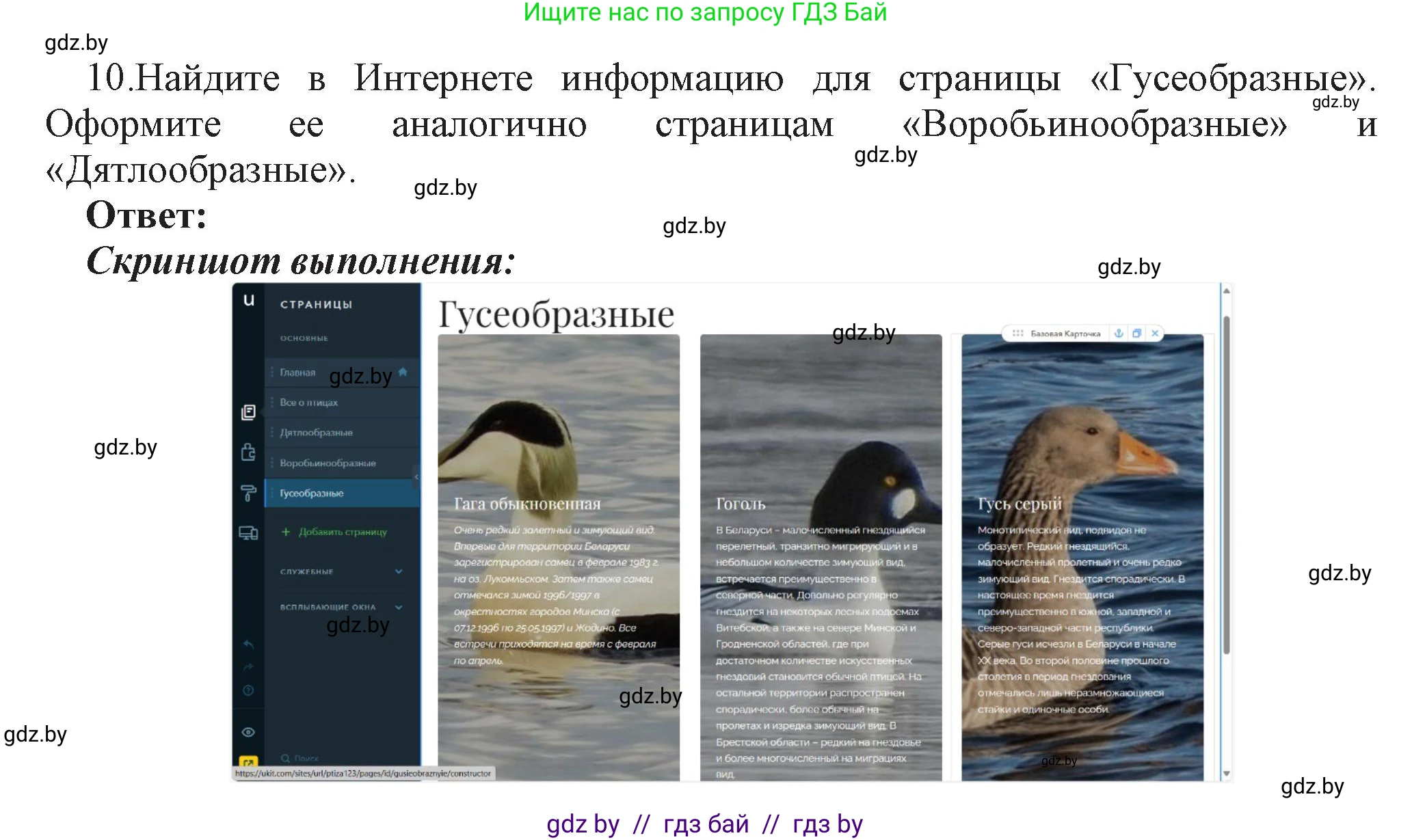 Информатика, 11 класс Учебник, авторы: Котов Владимир Михайлович, Лапо Анжелика Ивановна, Быкадоров Юрий Александрович, Войтехович Елена Николаевна, издательство Народная асвета, Минск, 2021, бирюзового цвета, страница 75, номер 10, Решение