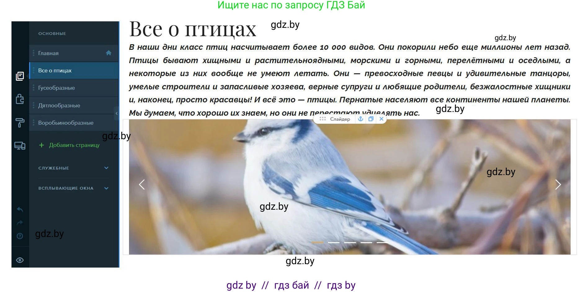 Информатика, 11 класс Учебник, авторы: Котов Владимир Михайлович, Лапо Анжелика Ивановна, Быкадоров Юрий Александрович, Войтехович Елена Николаевна, издательство Народная асвета, Минск, 2021, бирюзового цвета, страница 75, номер 8, Решение (продолжение 2)