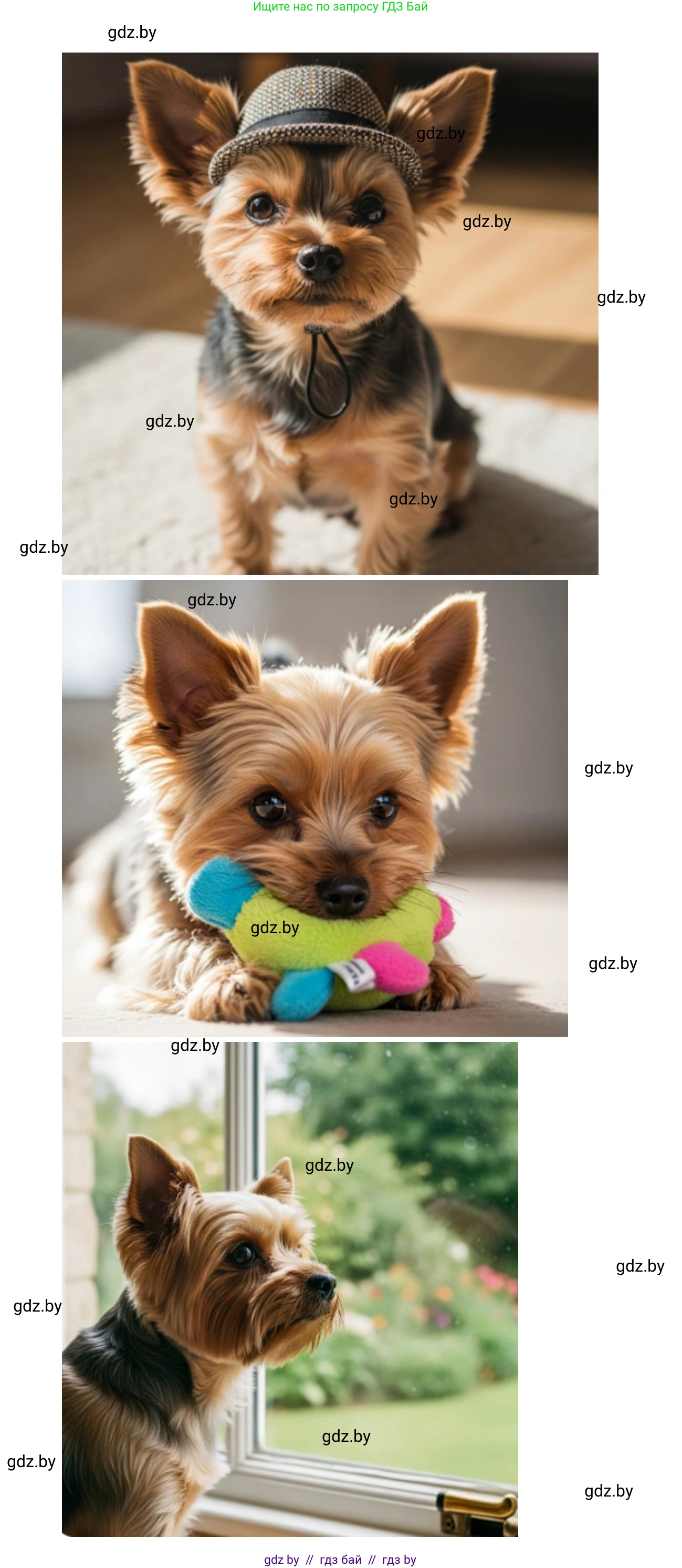 Искусство, 5 класс Учебник, авторы: Колбышева Светлана Ивановна, Захарина Юлия Юрьевна, Грачёва Ольга Олеговна, Гракова В В, Волк М А, издательство Адукацыя i выхаванне, Минск, 2022, страница 108, Решение (продолжение 3)