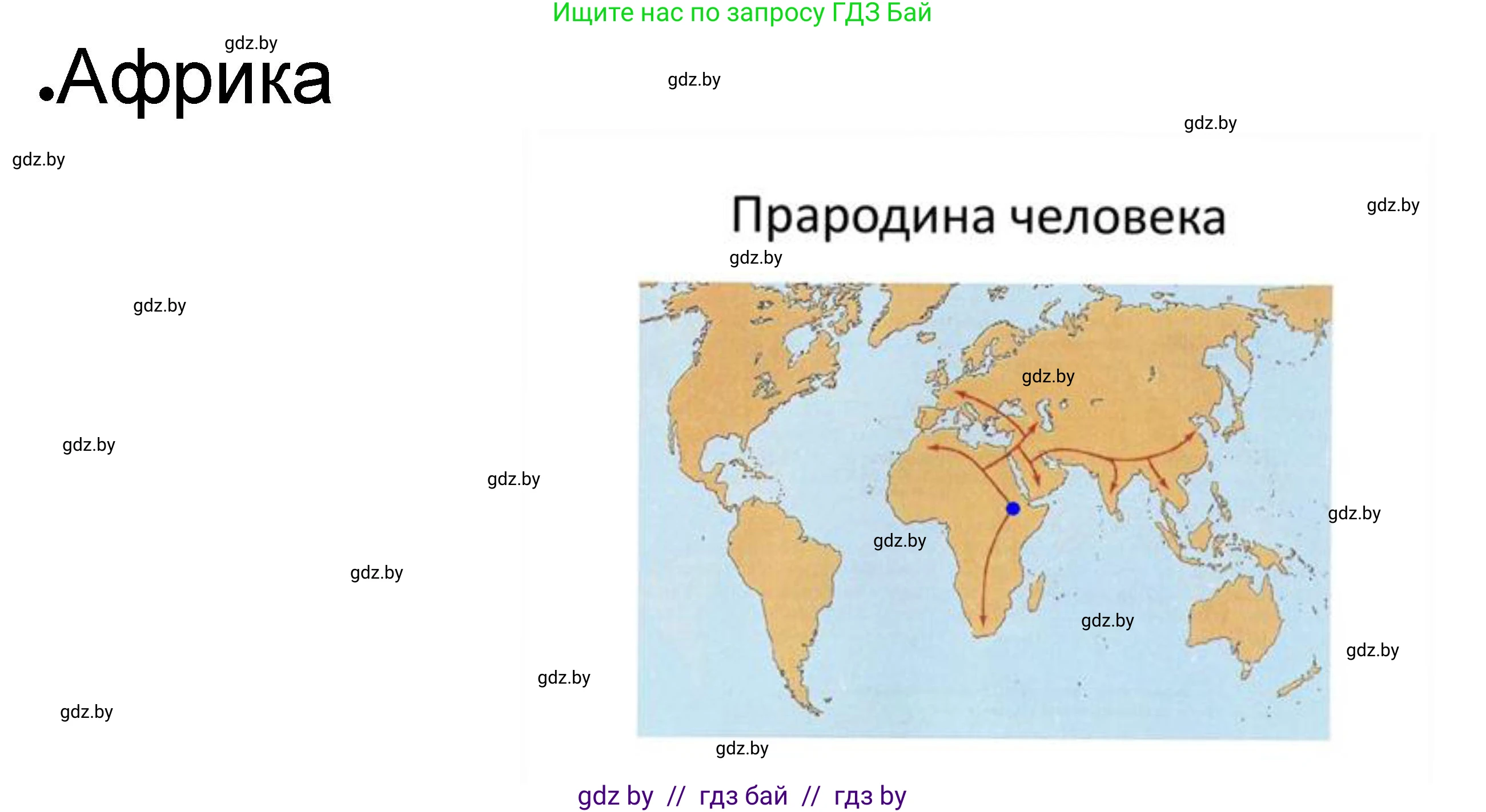 История Древнего мира, 5 класс рабочая тетрадь, авторы: Кошелев Владимир Сергеевич, Байдакова Наталья Васильевна, издательство Аверсэв, Минск, 2023, бежевого цвета, Часть 1, страница 12, номер 4, Решение