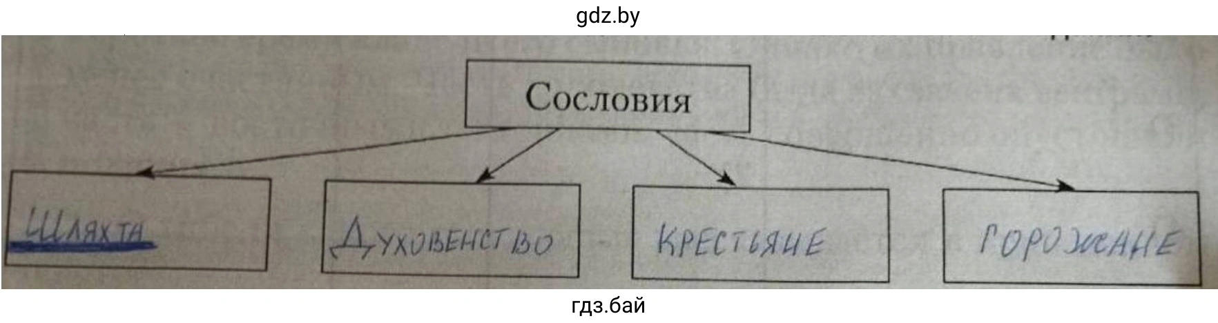 Схема. Сословия