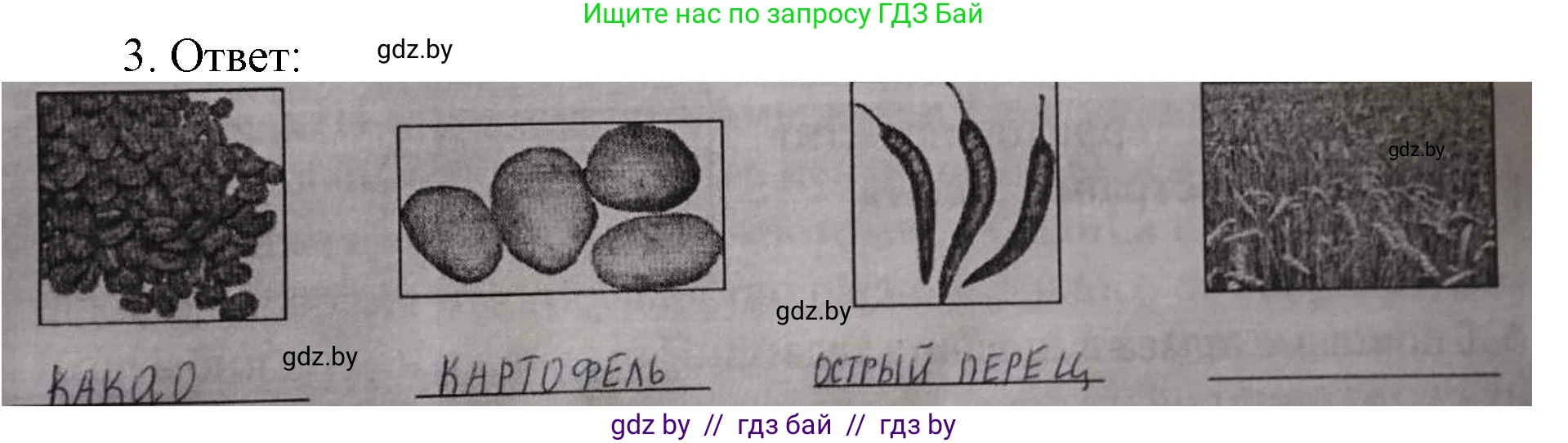 История средних веков, 6 класс рабочая тетрадь, авторы: Федосик Виктор Анатольевич, Темушев Степан Николаевич, Мазарчук Дмитрий Валерьевич, издательство Аверсэв, Минск, 2023, коричневого цвета, страница 113, номер 3, Решение