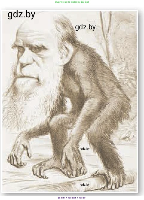 Всемирная история, 8 класс Учебник, авторы: Кошелев Владимир Сергеевич, Кошелева Наталья Владимировна, Байдакова Наталья Владимировна, издательство Издательский центр БГУ, Минск, 2018, красного цвета, страница 53, Условие (продолжение 2)